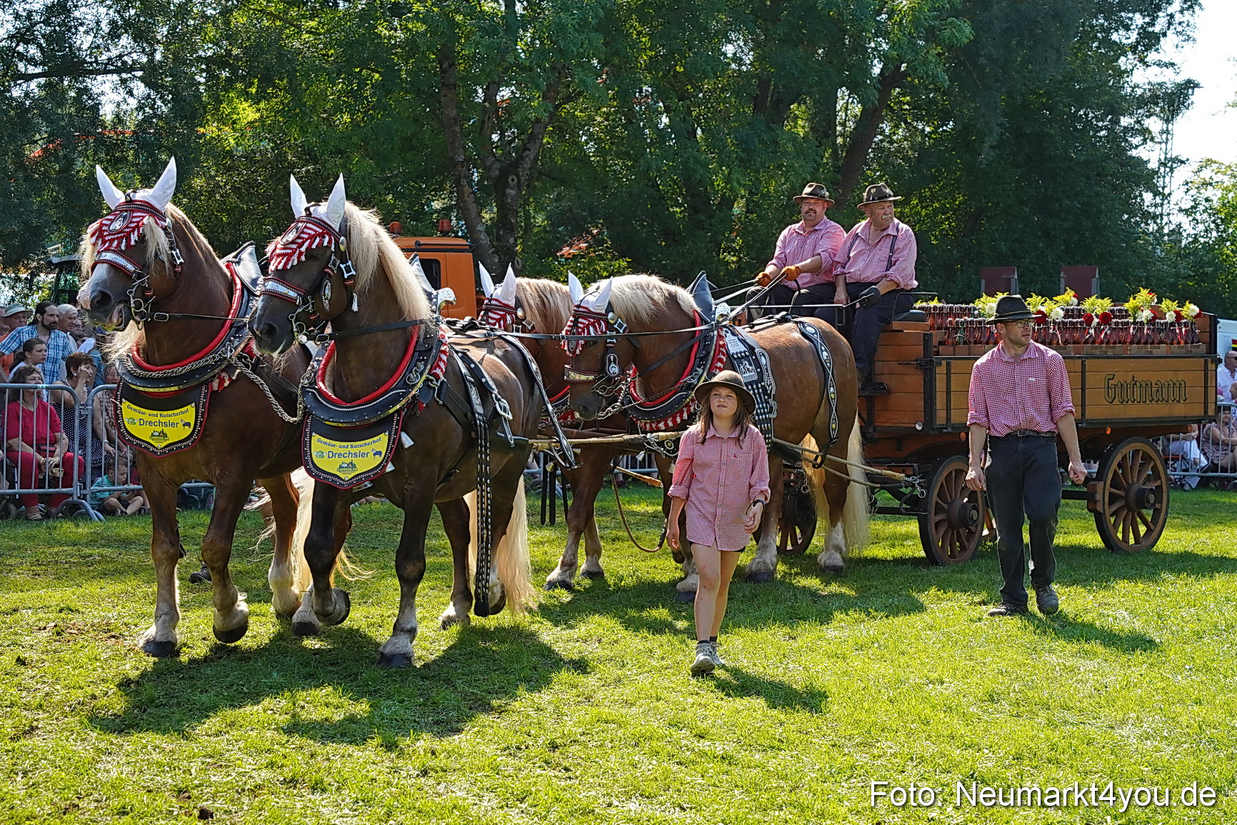 Pferde und Fohlenschau JURA Volksfest 2023 0201