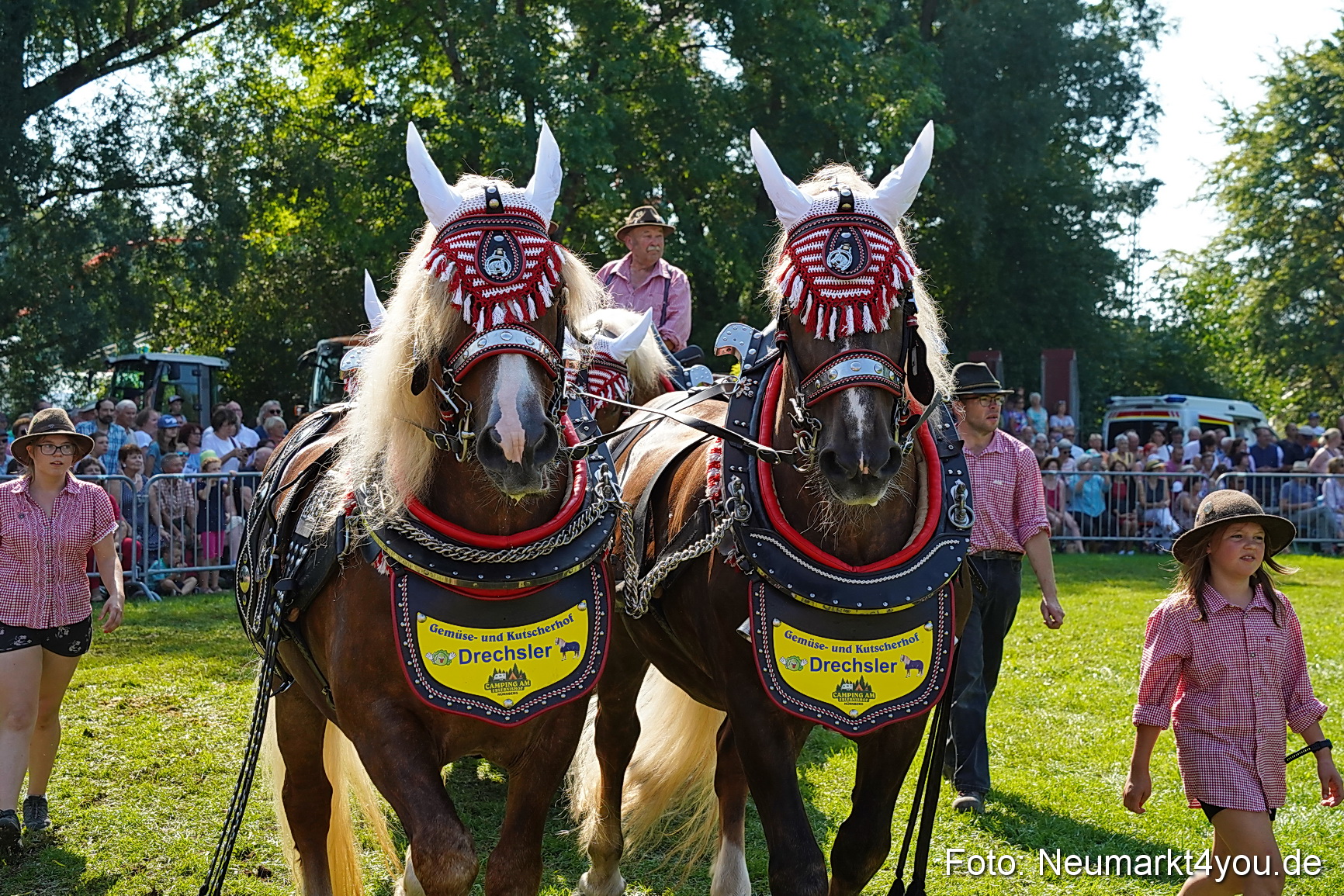 Pferde und Fohlenschau JURA Volksfest 2023 0202