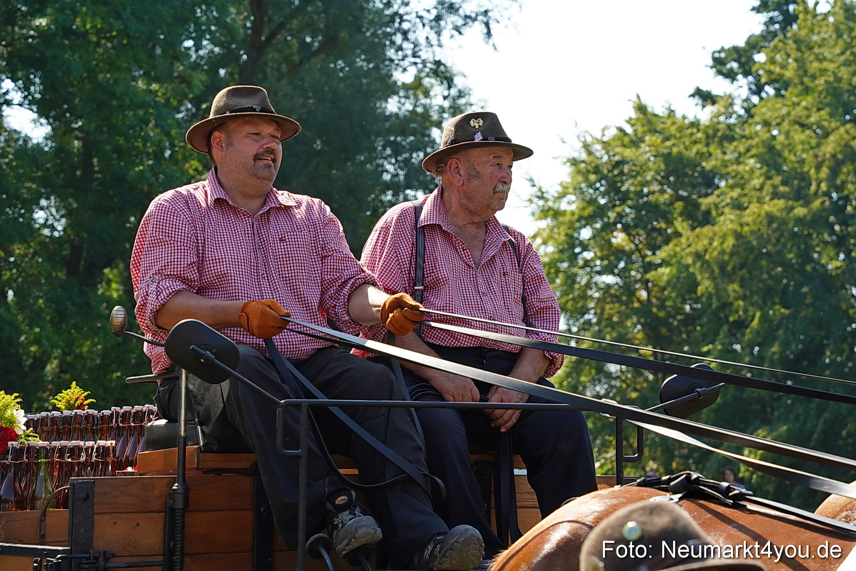 Pferde und Fohlenschau JURA Volksfest 2023 0203