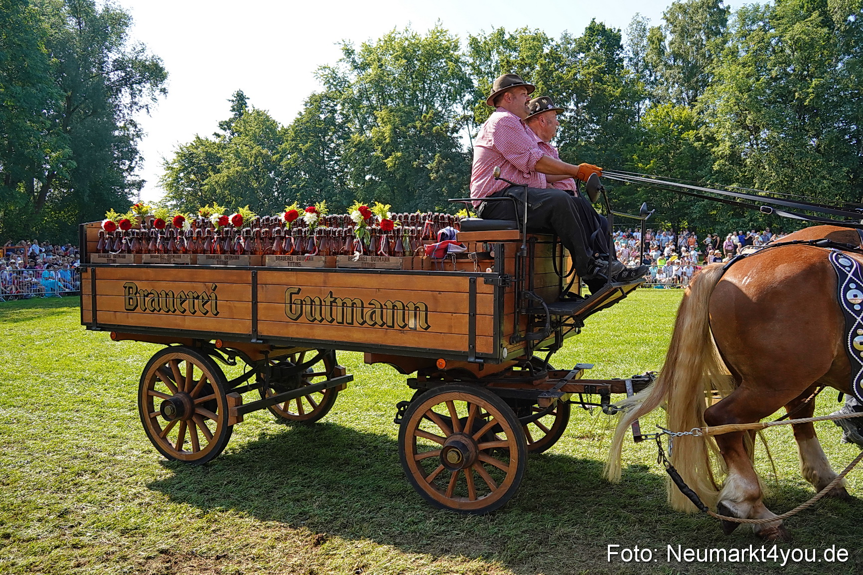 Pferde und Fohlenschau JURA Volksfest 2023 0204