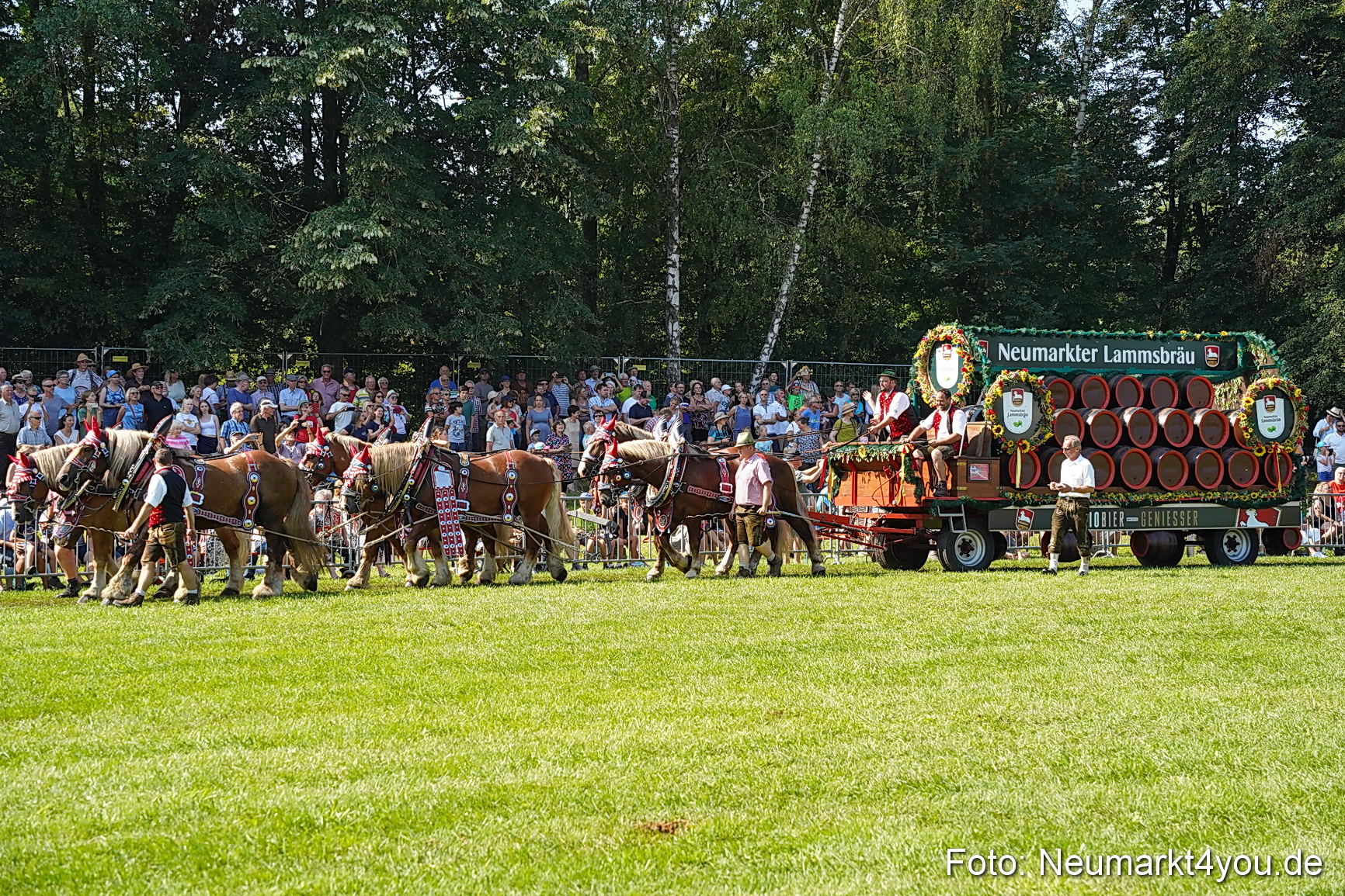 Pferde und Fohlenschau JURA Volksfest 2023 0207