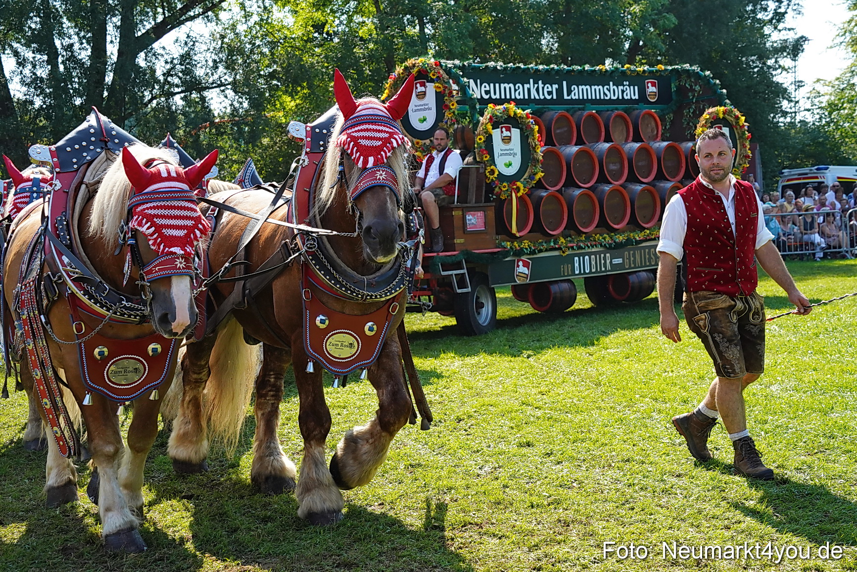 Pferde und Fohlenschau JURA Volksfest 2023 0208