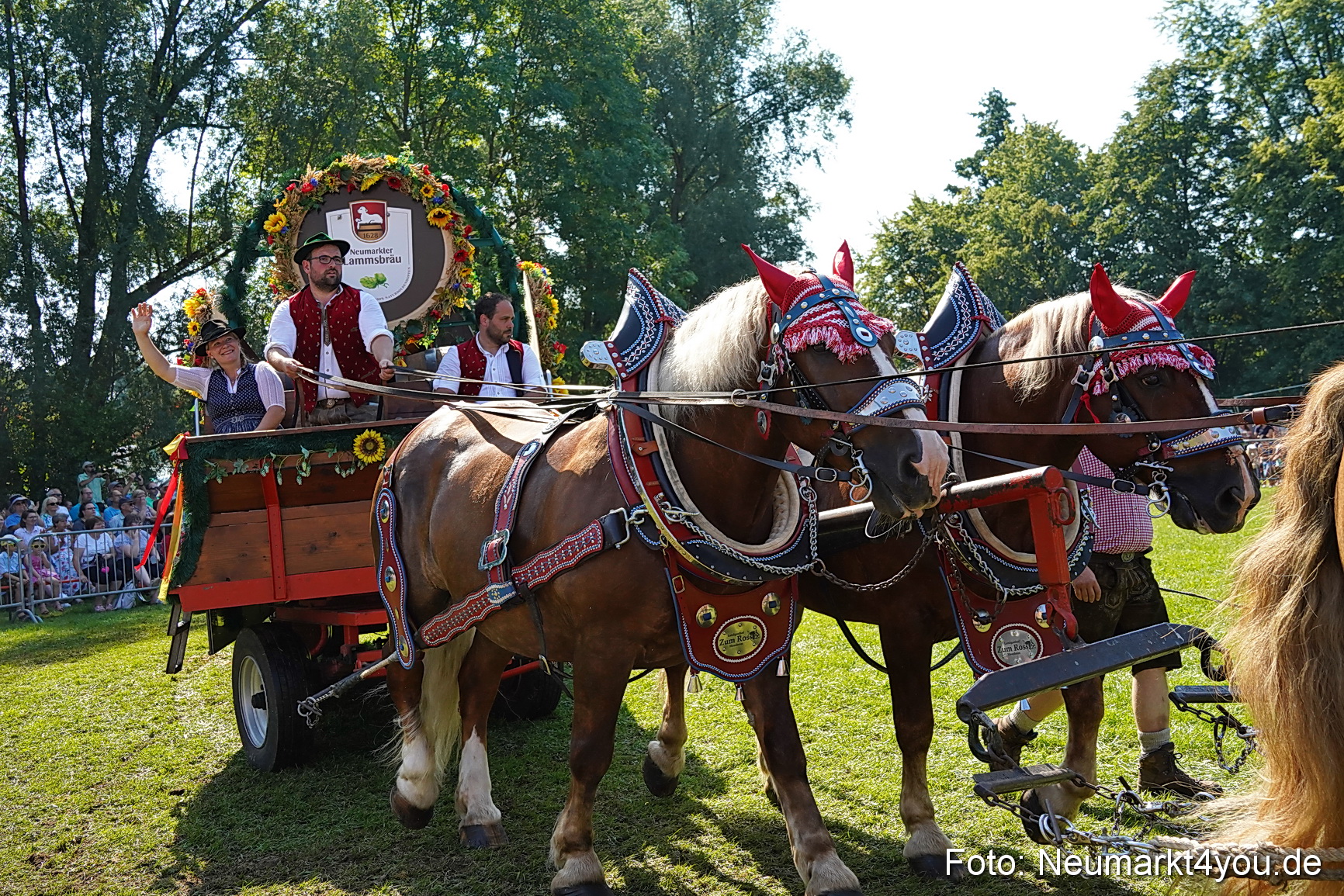 Pferde und Fohlenschau JURA Volksfest 2023 0210