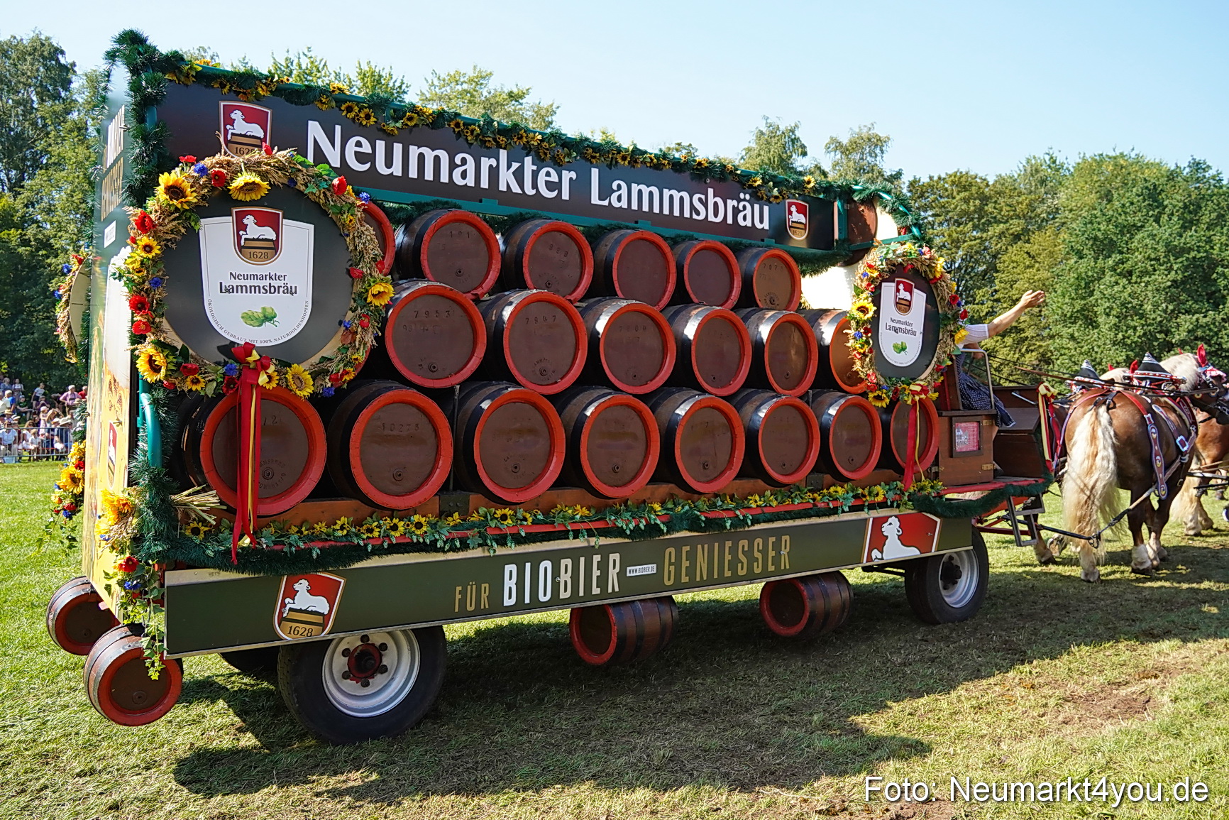 Pferde und Fohlenschau JURA Volksfest 2023 0212