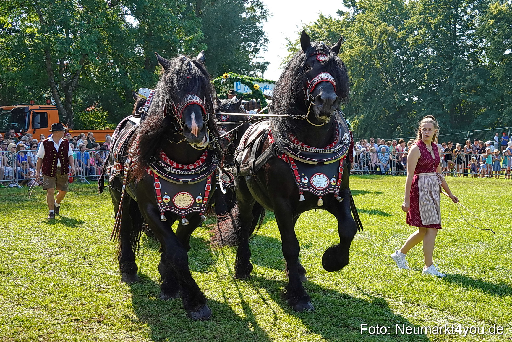 Pferde und Fohlenschau JURA Volksfest 2023 0217