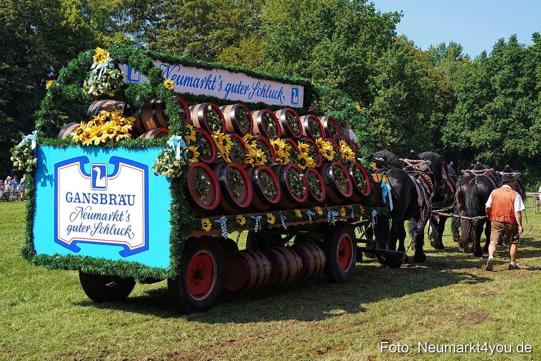 Pferde und Fohlenschau JURA Volksfest 2023 0219