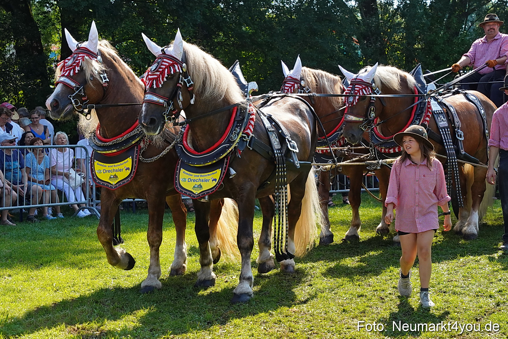 Pferde und Fohlenschau JURA Volksfest 2023 0220