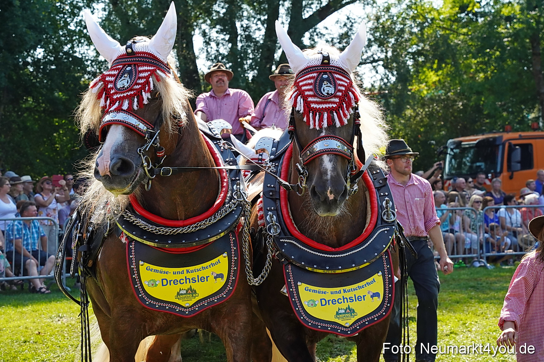 Pferde und Fohlenschau JURA Volksfest 2023 0221
