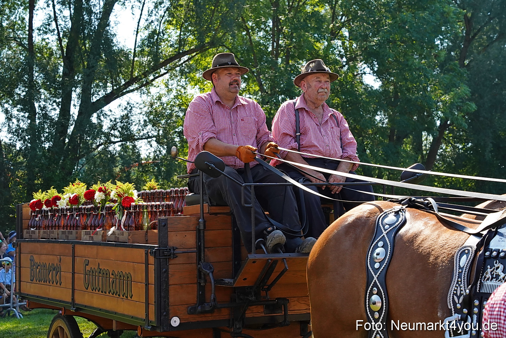 Pferde und Fohlenschau JURA Volksfest 2023 0222