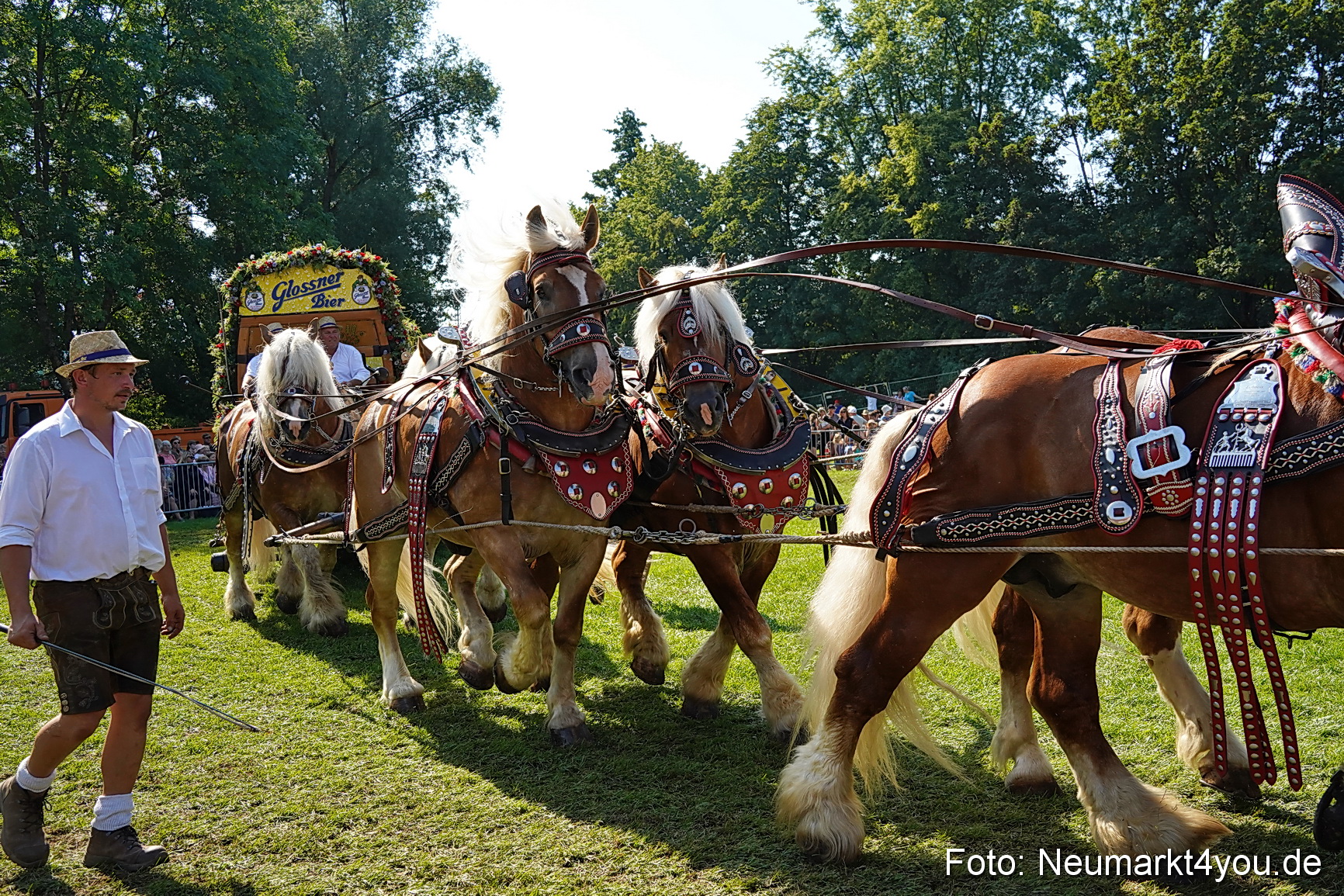 Pferde und Fohlenschau JURA Volksfest 2023 0224