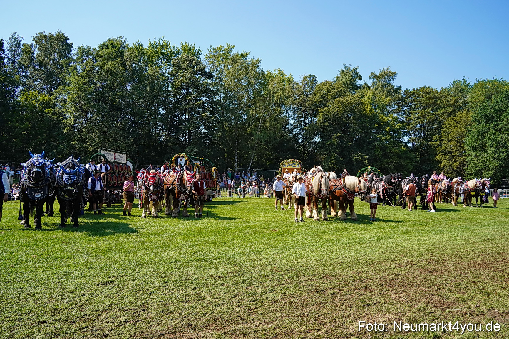 Pferde und Fohlenschau JURA Volksfest 2023 0226