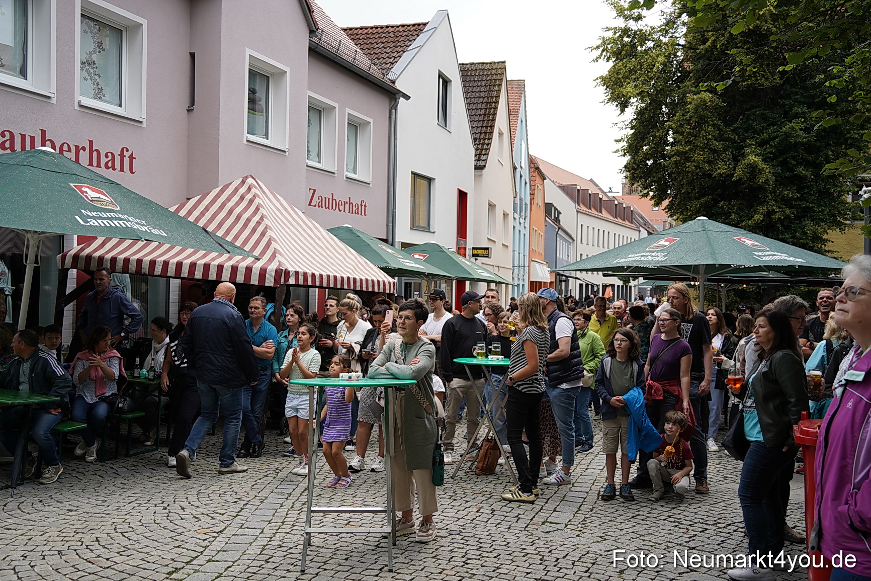 Altstadtfest Neumarkt 2024 0045