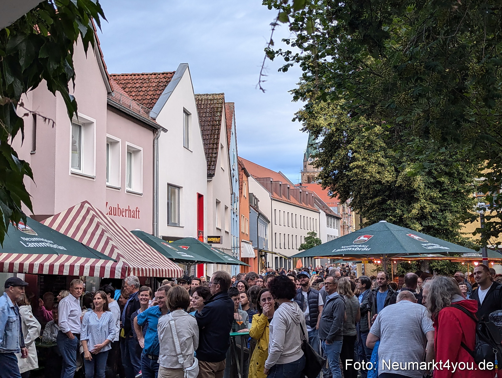 Altstadtfest Neumarkt 2024 0085