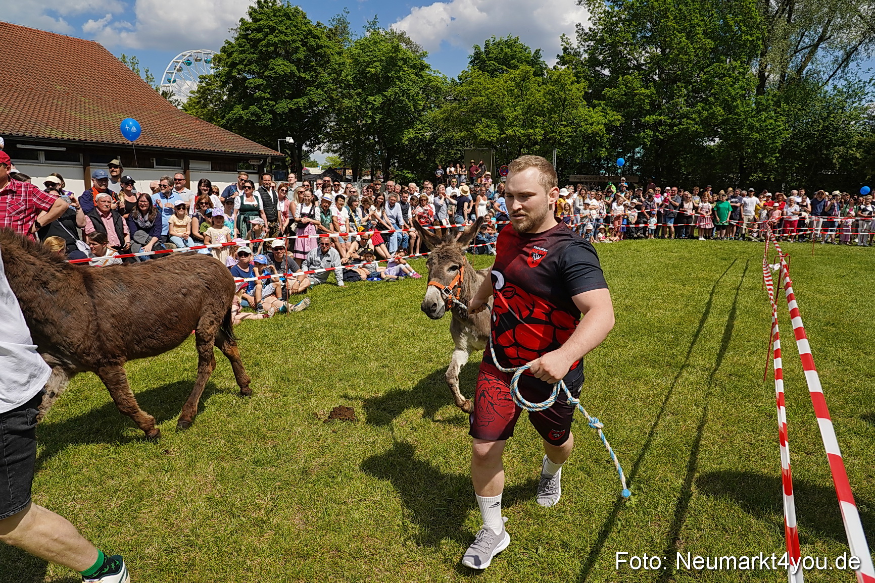 Eselrennen Fruehlingsfest Neumarkt 2024 0053