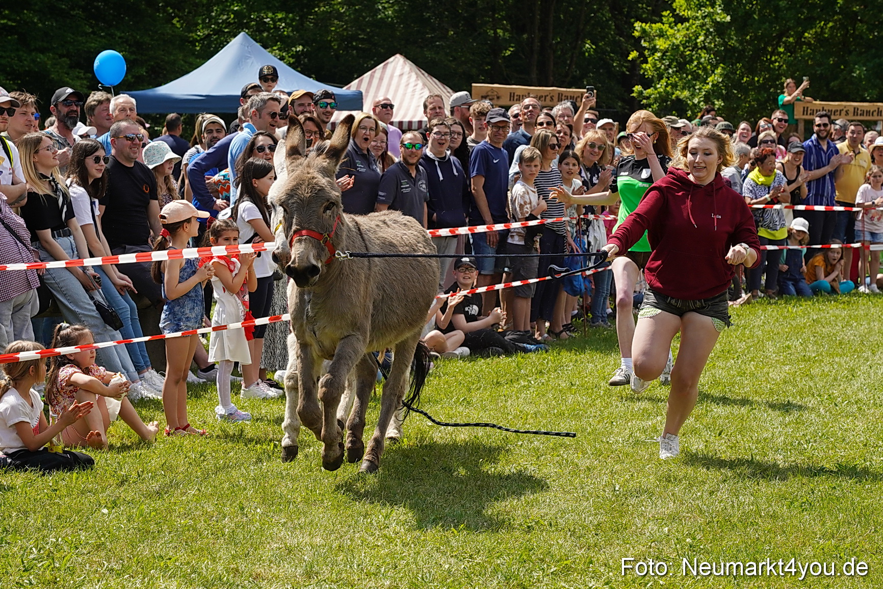 Eselrennen Fruehlingsfest Neumarkt 2024 0054