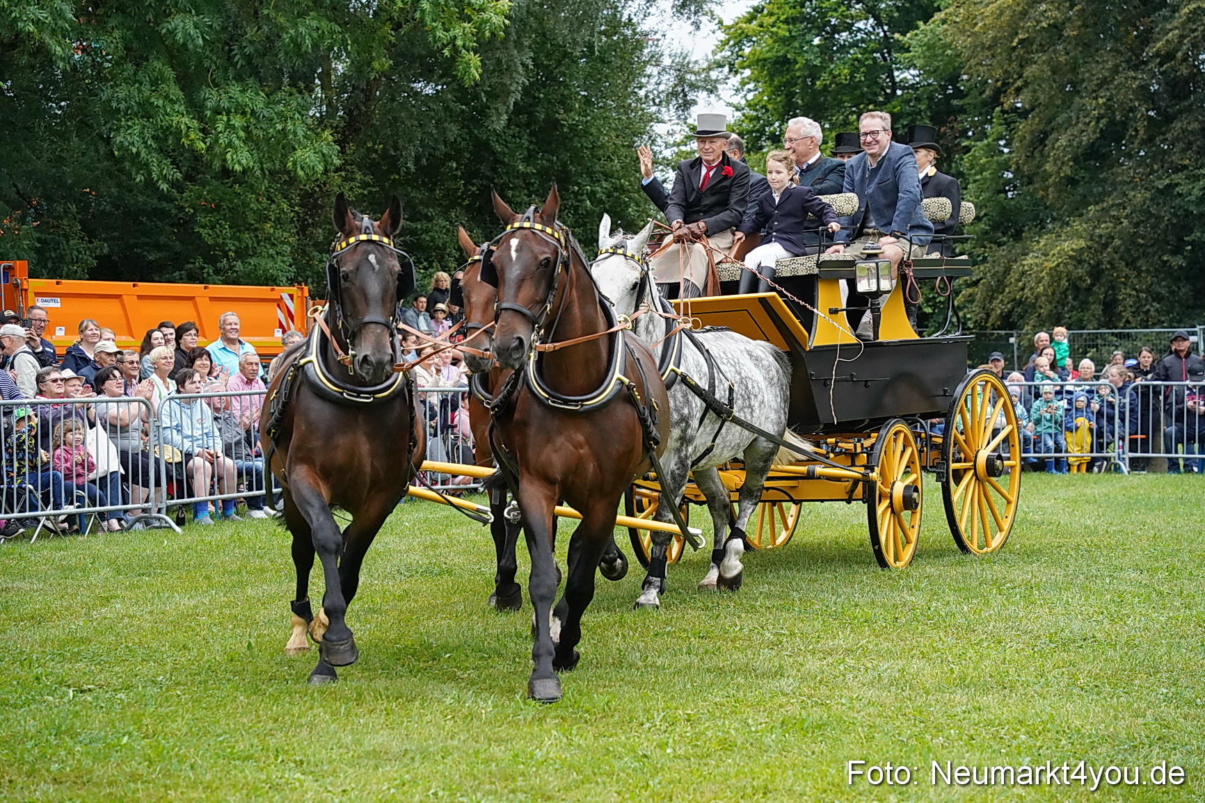Pferde und Fohlenschau 2024 0002