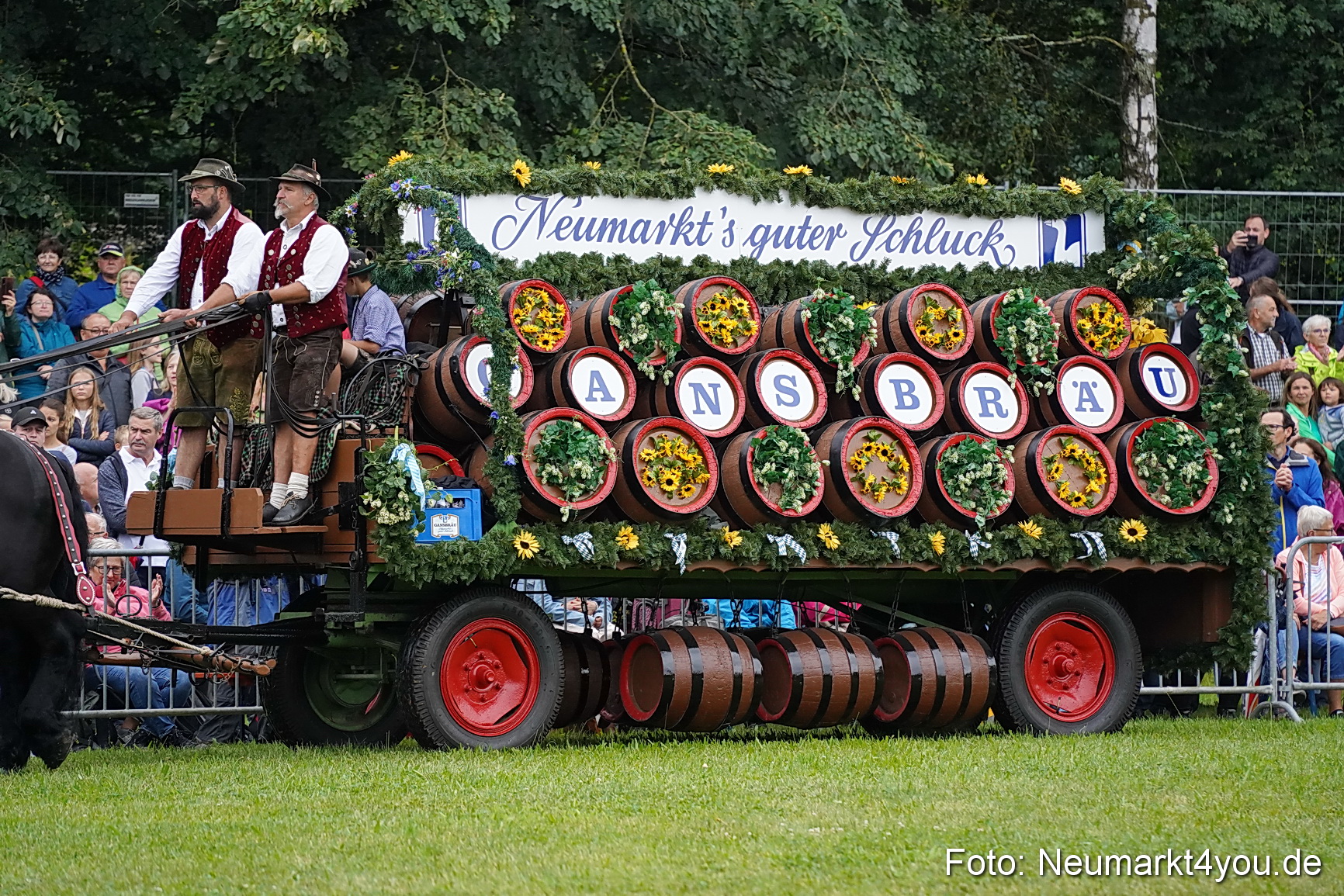 Pferde und Fohlenschau 2024 0008
