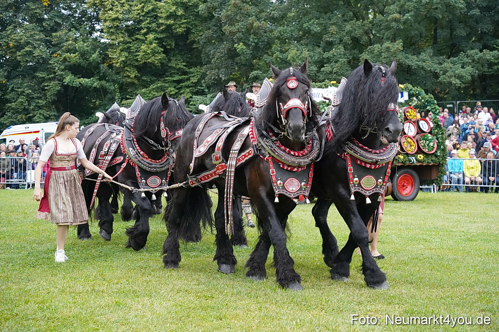 Pferde und Fohlenschau 2024 0009