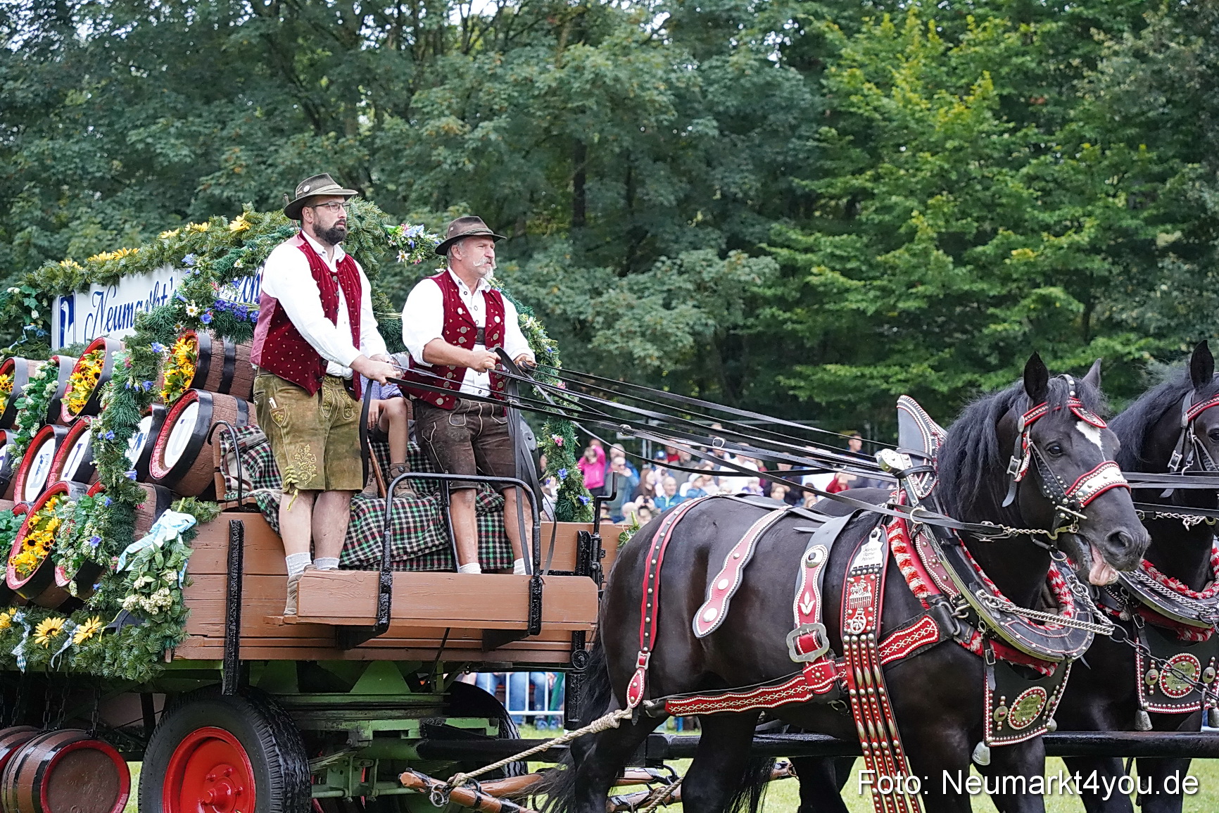 Pferde und Fohlenschau 2024 0010