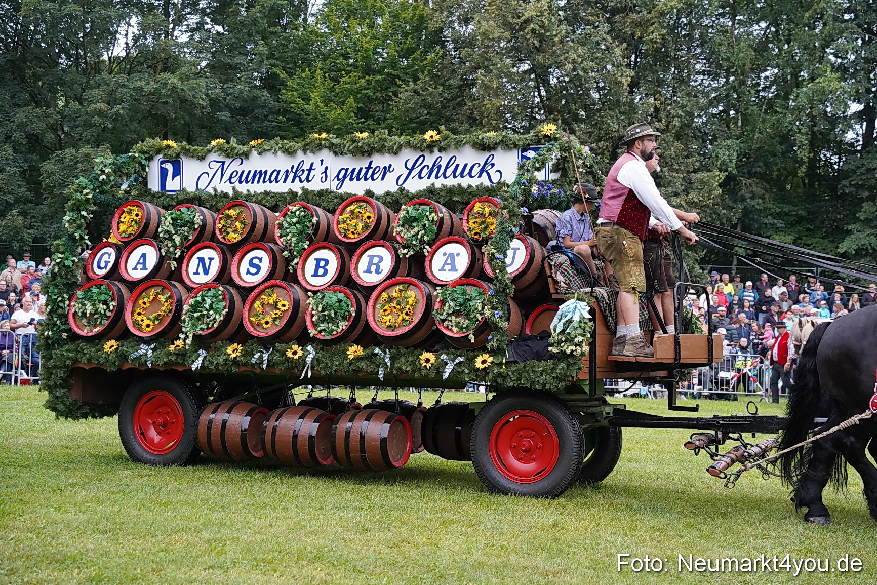 Pferde und Fohlenschau 2024 0011
