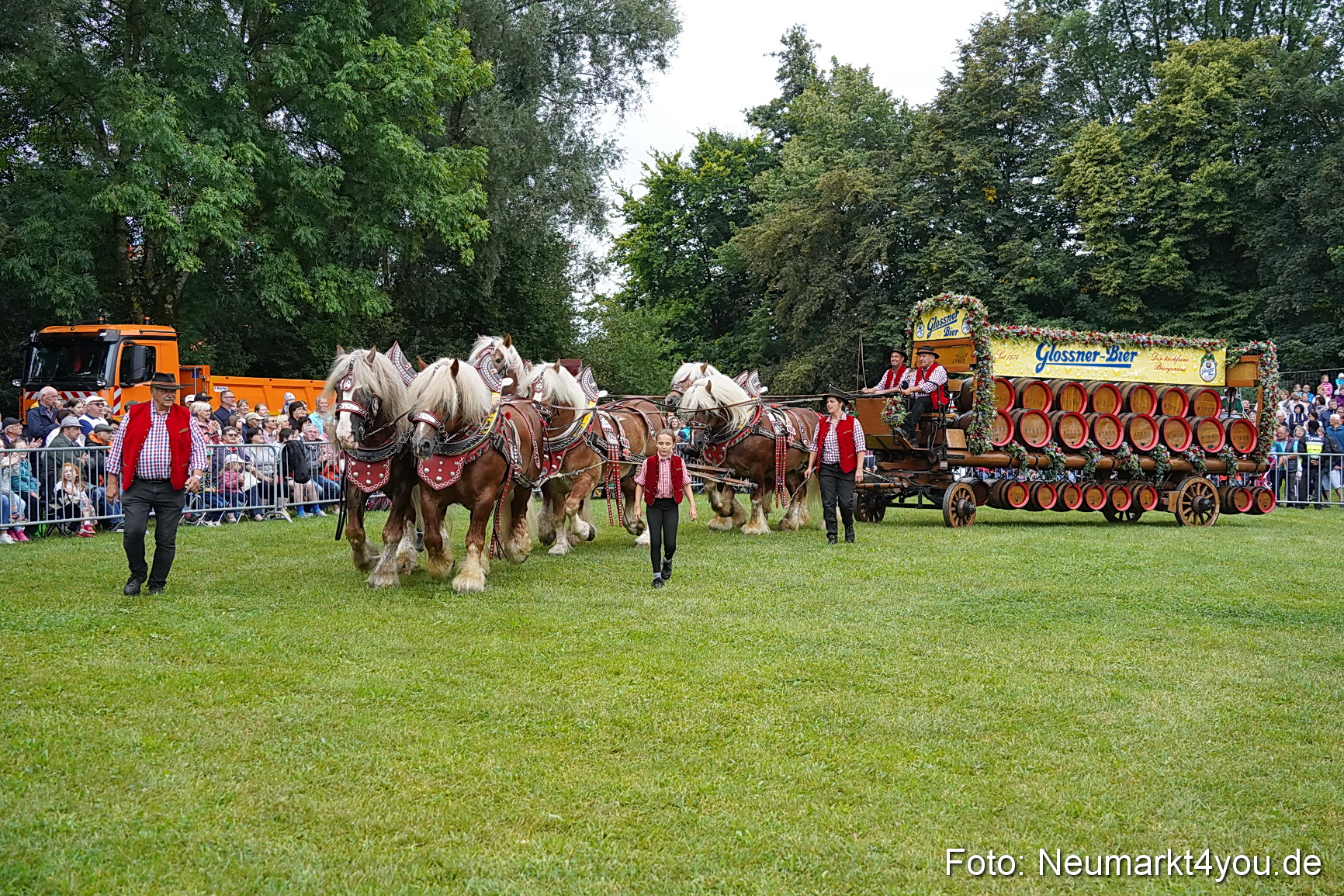 Pferde und Fohlenschau 2024 0012