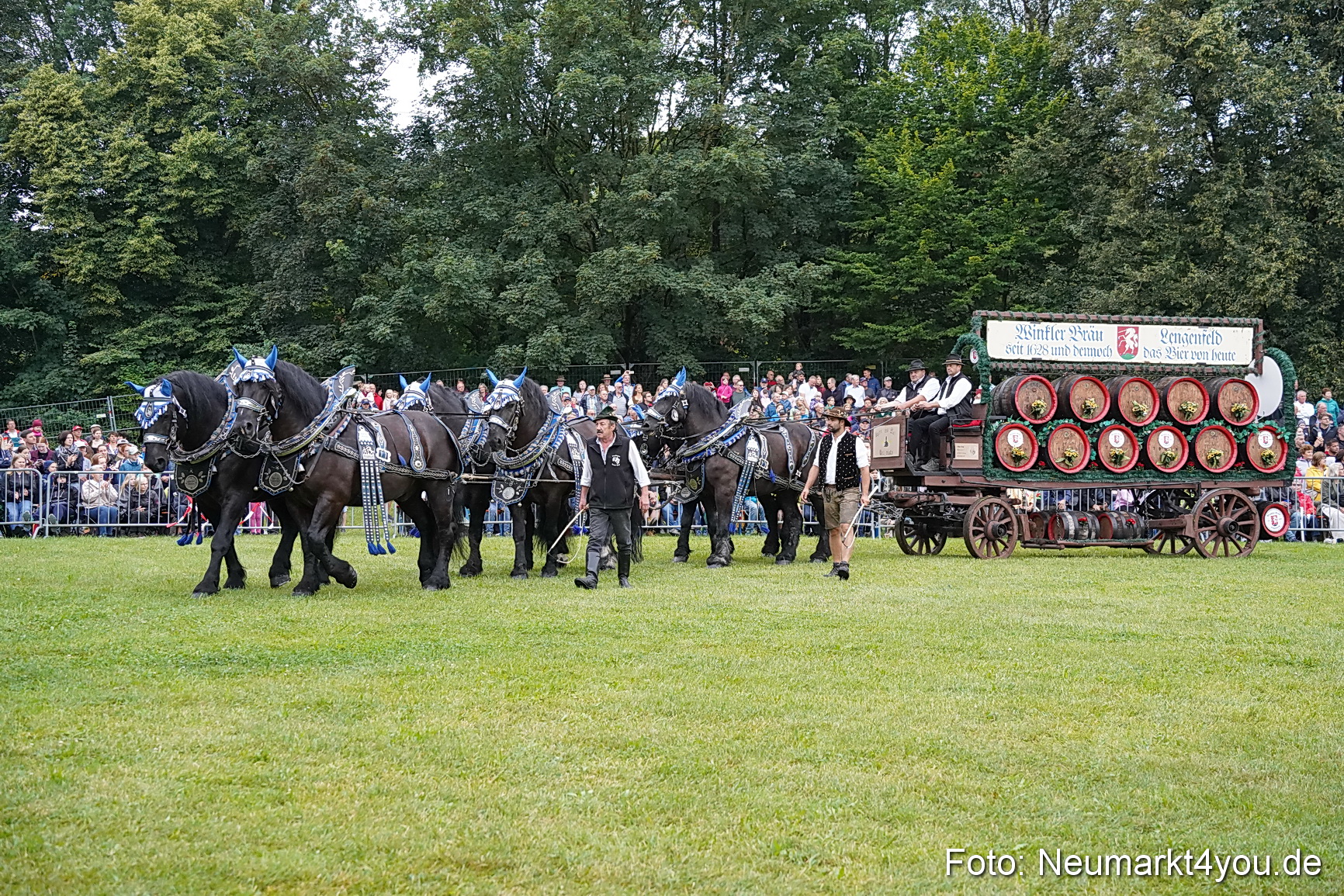 Pferde und Fohlenschau 2024 0015