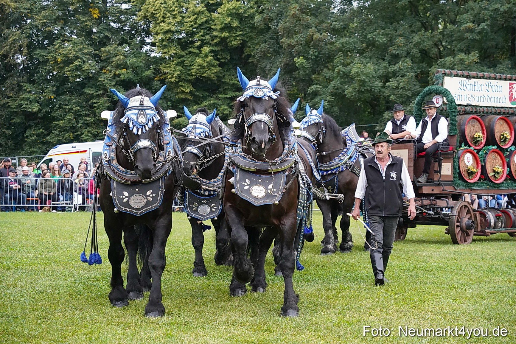 Pferde und Fohlenschau 2024 0016