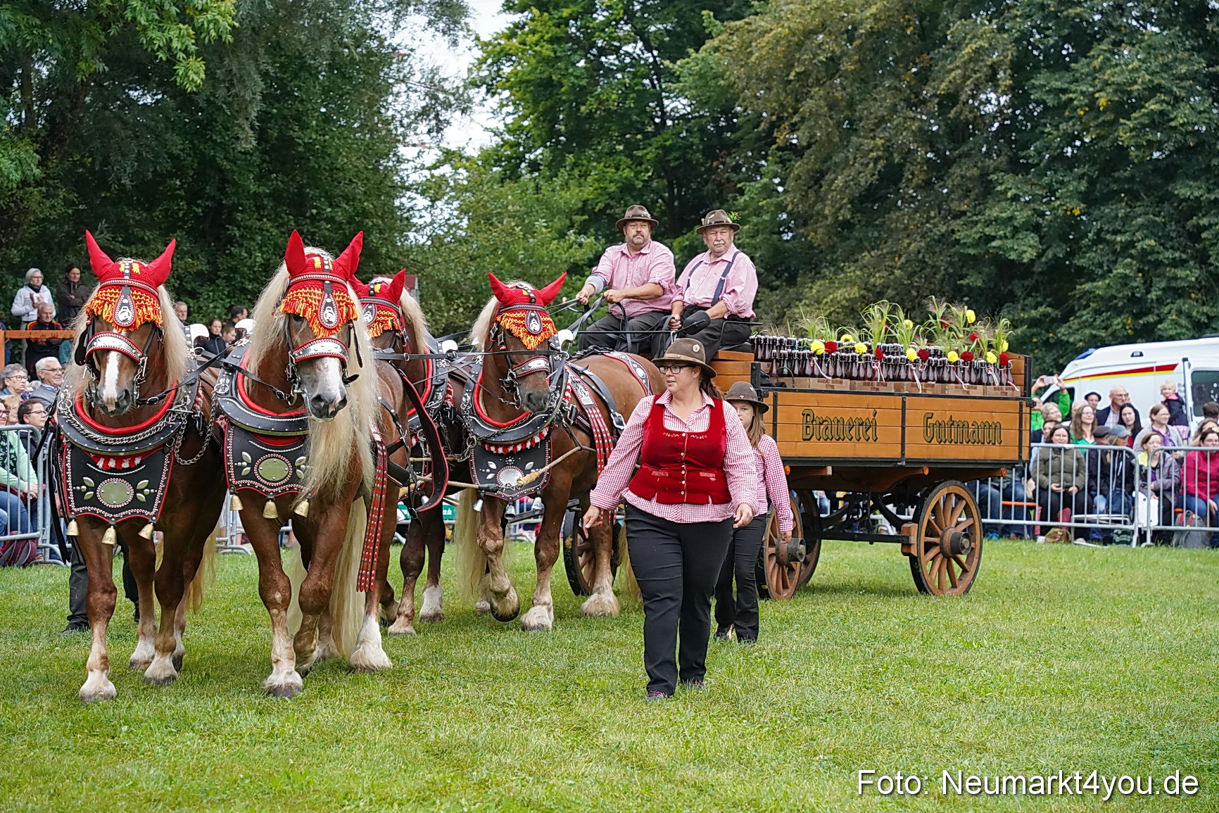 Pferde und Fohlenschau 2024 0019