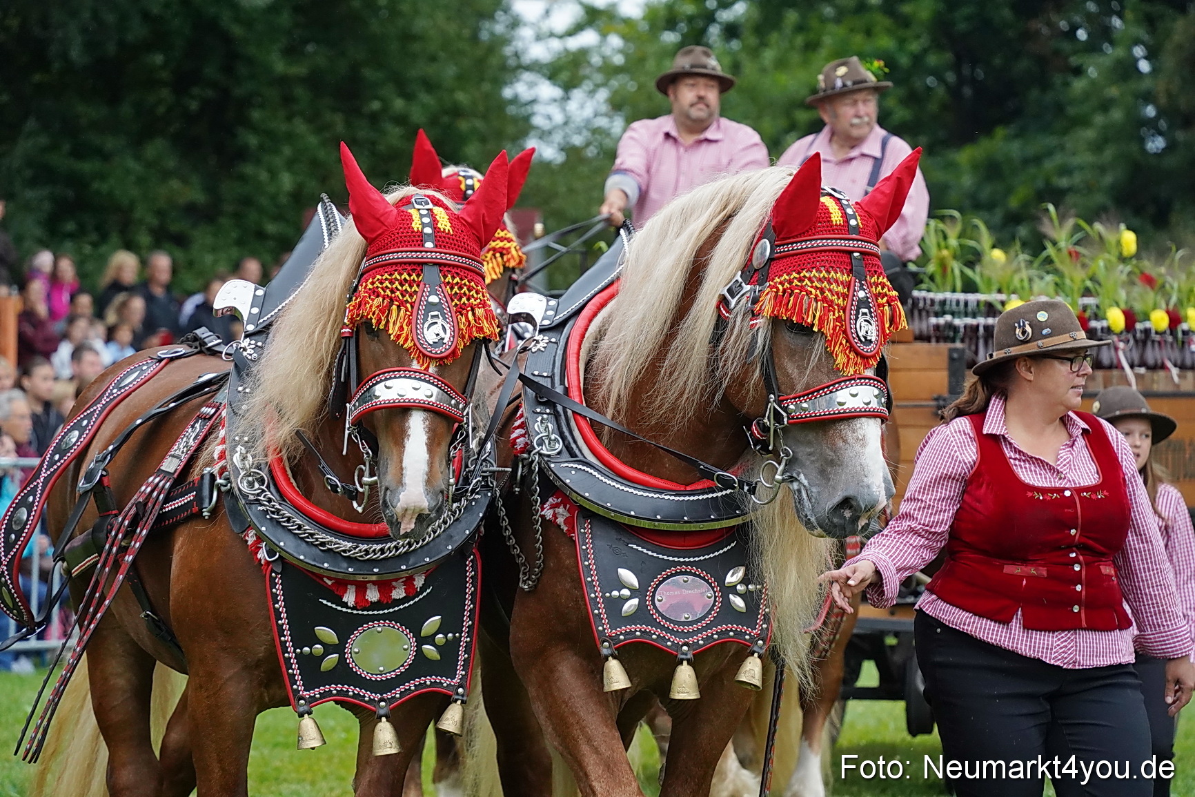 Pferde und Fohlenschau 2024 0020