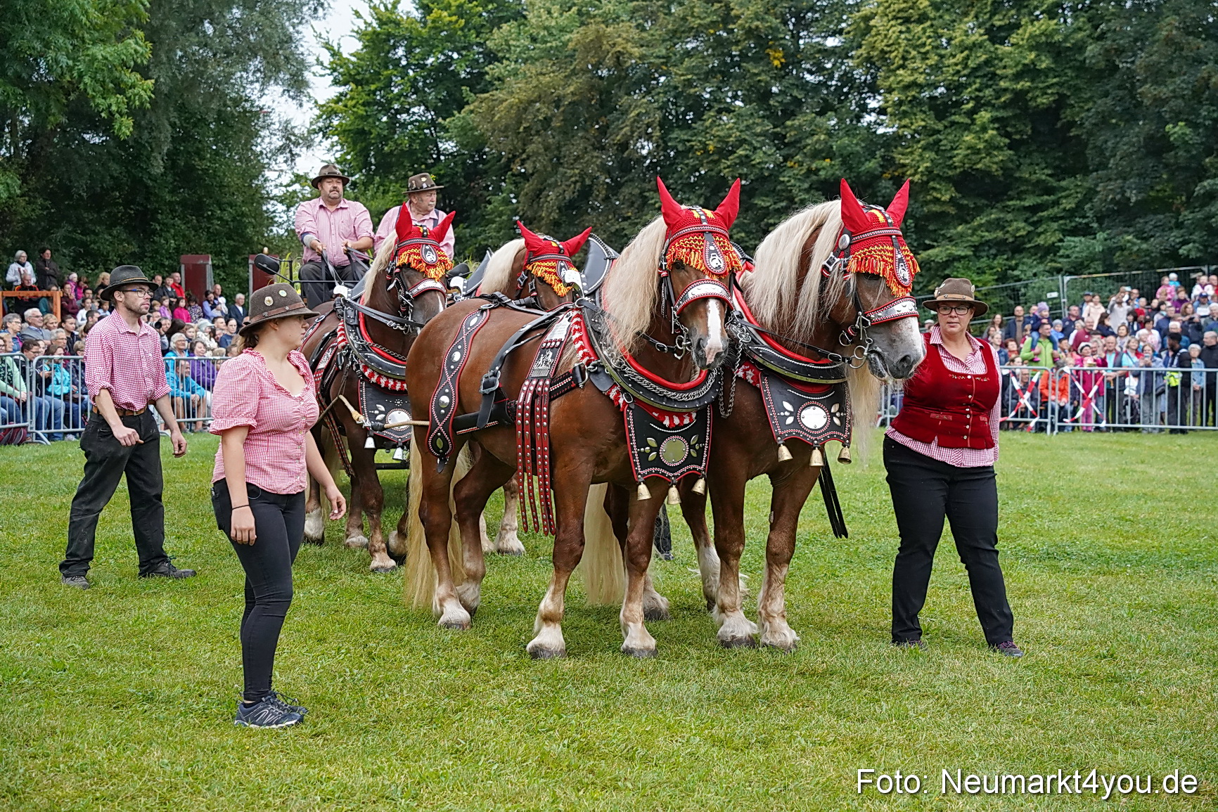 Pferde und Fohlenschau 2024 0021