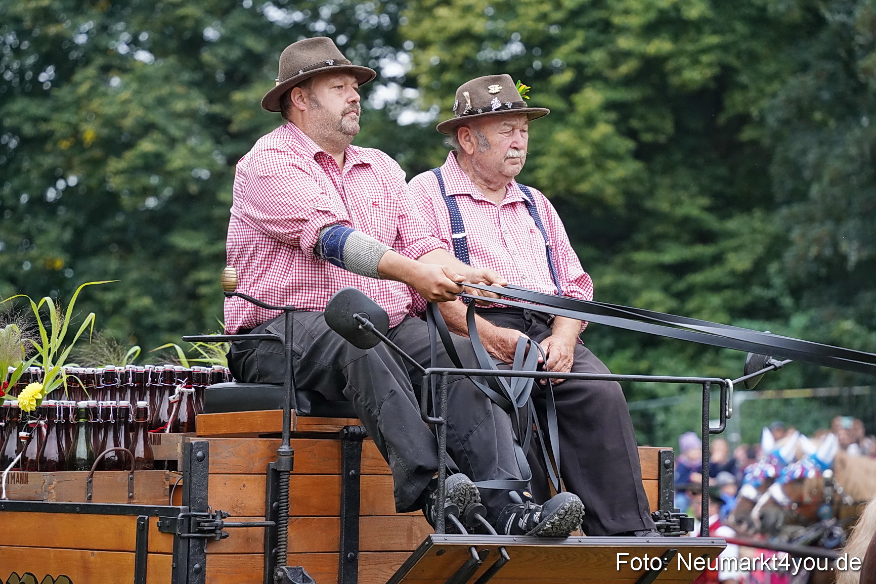 Pferde und Fohlenschau 2024 0022