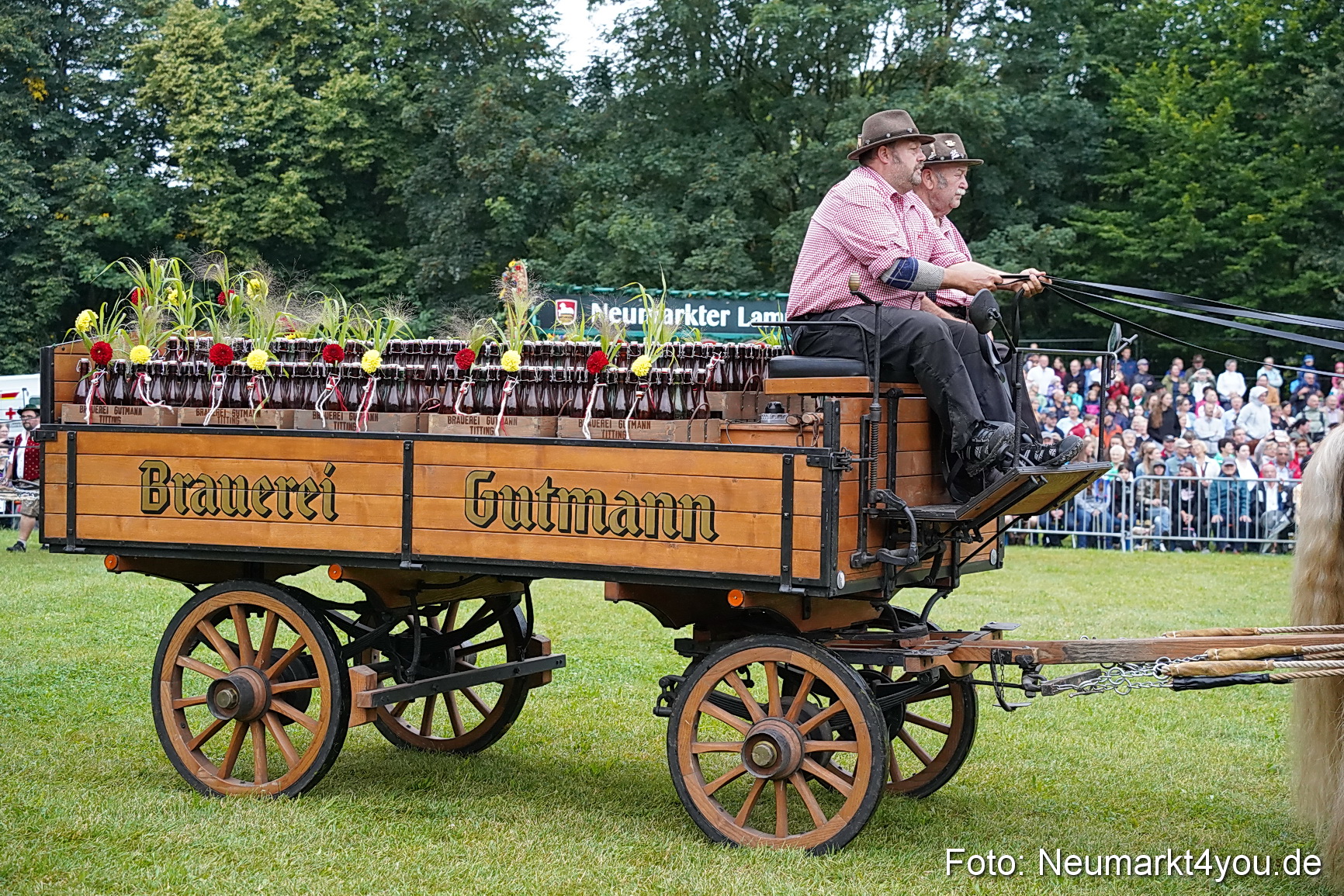 Pferde und Fohlenschau 2024 0023