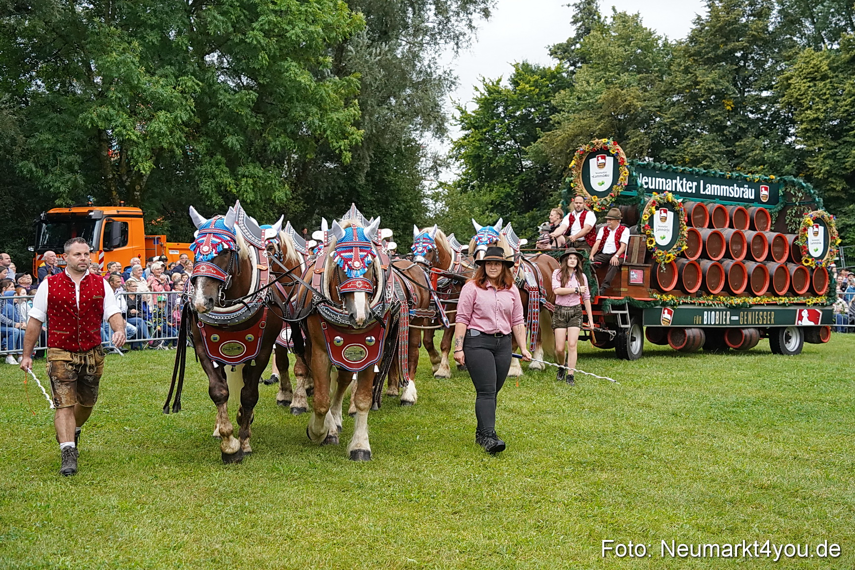 Pferde und Fohlenschau 2024 0024