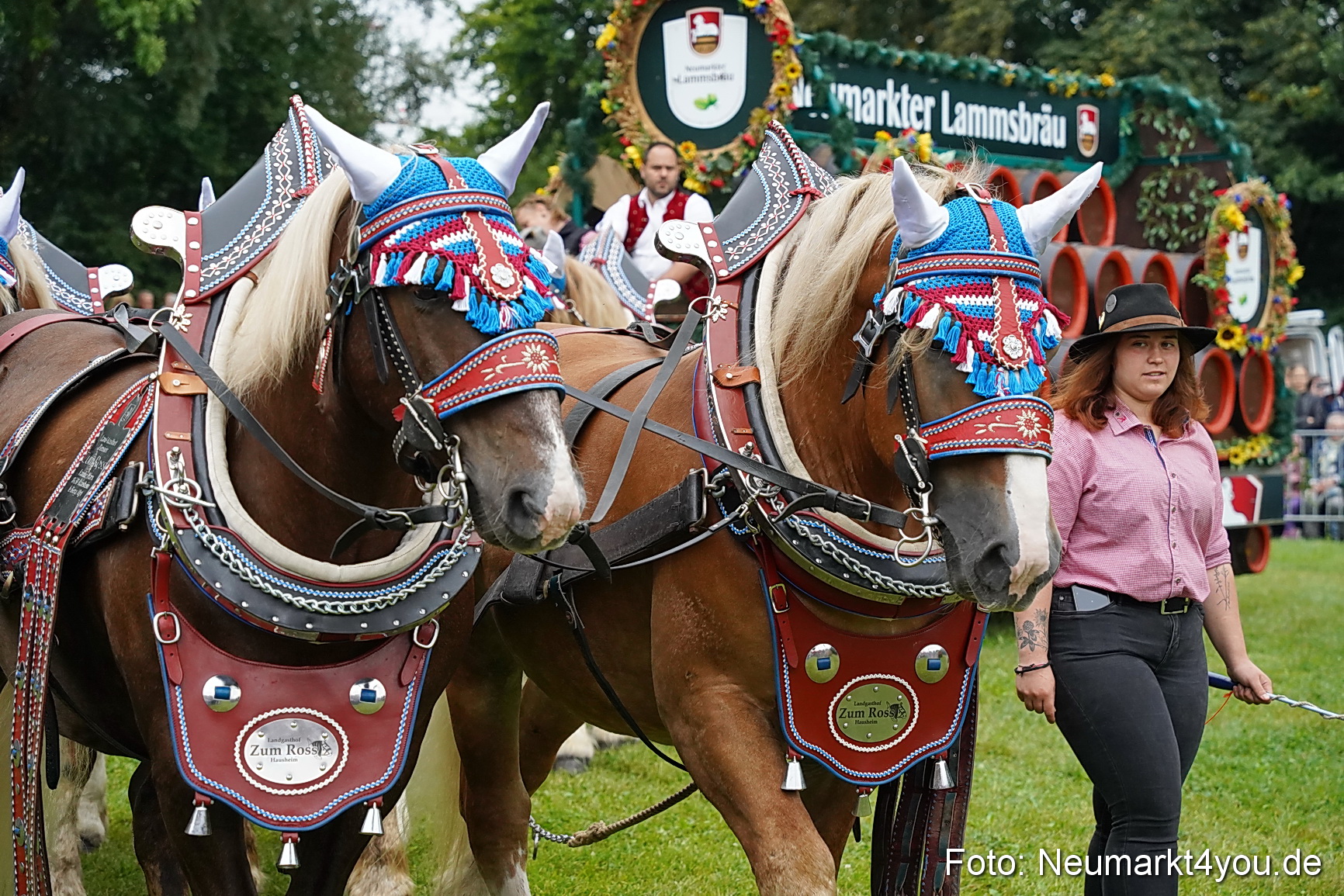 Pferde und Fohlenschau 2024 0025
