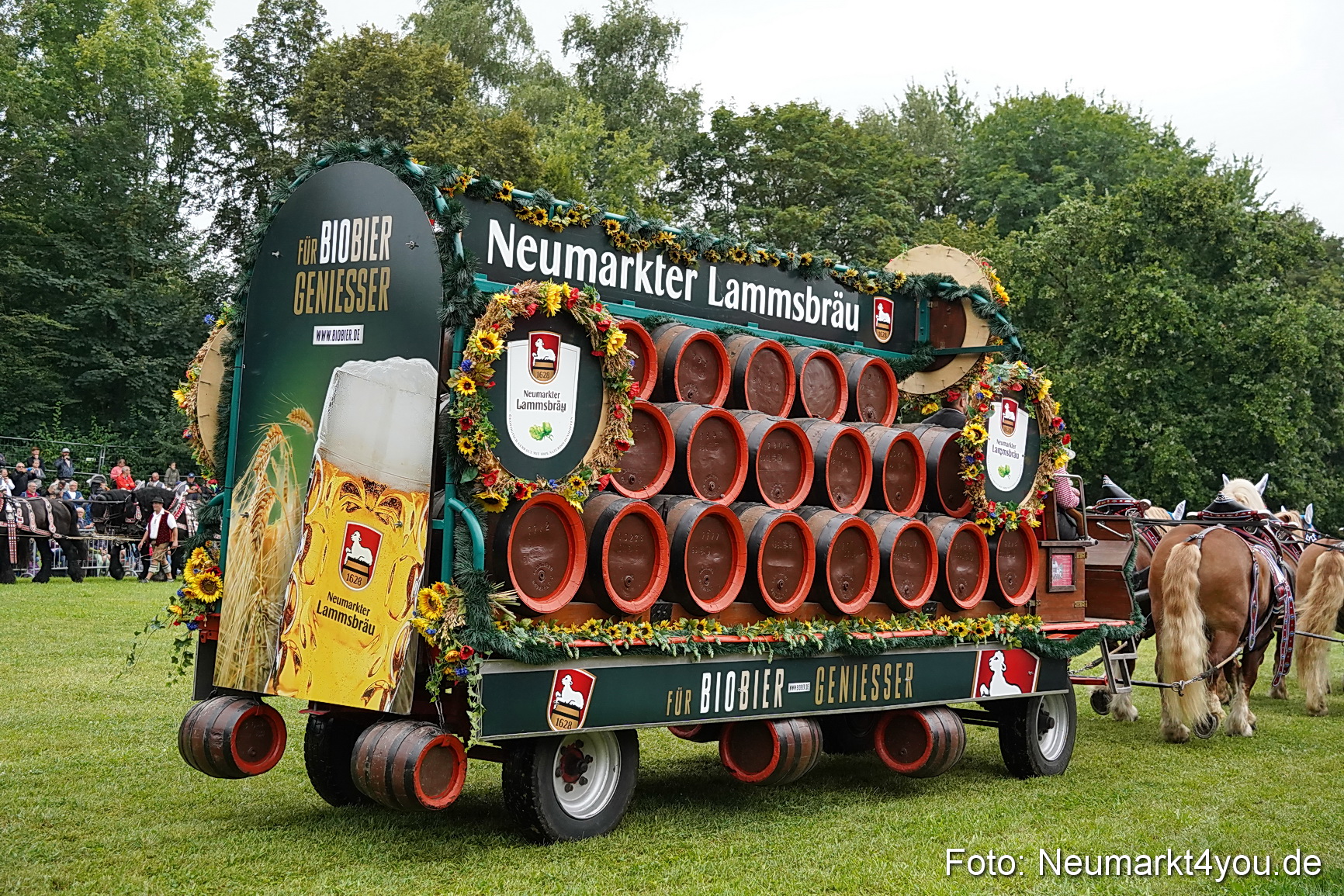 Pferde und Fohlenschau 2024 0027