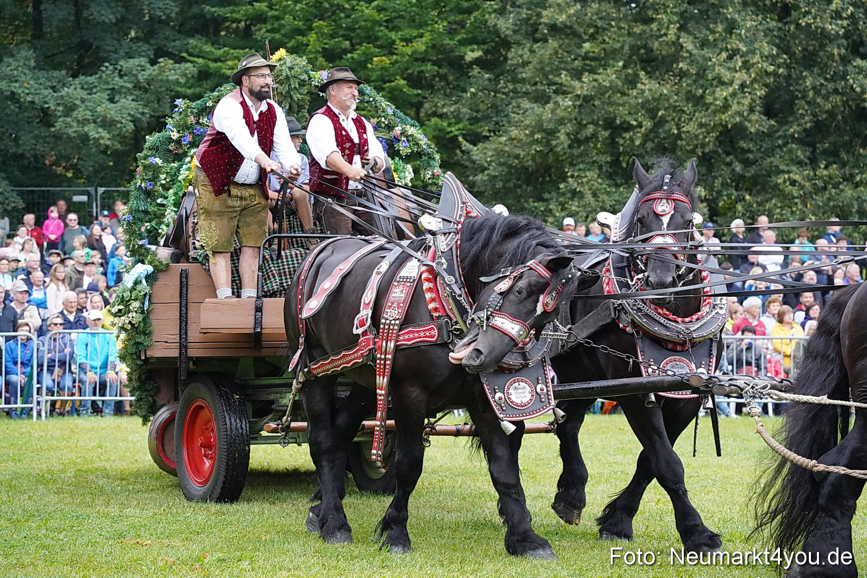 Pferde und Fohlenschau 2024 0028