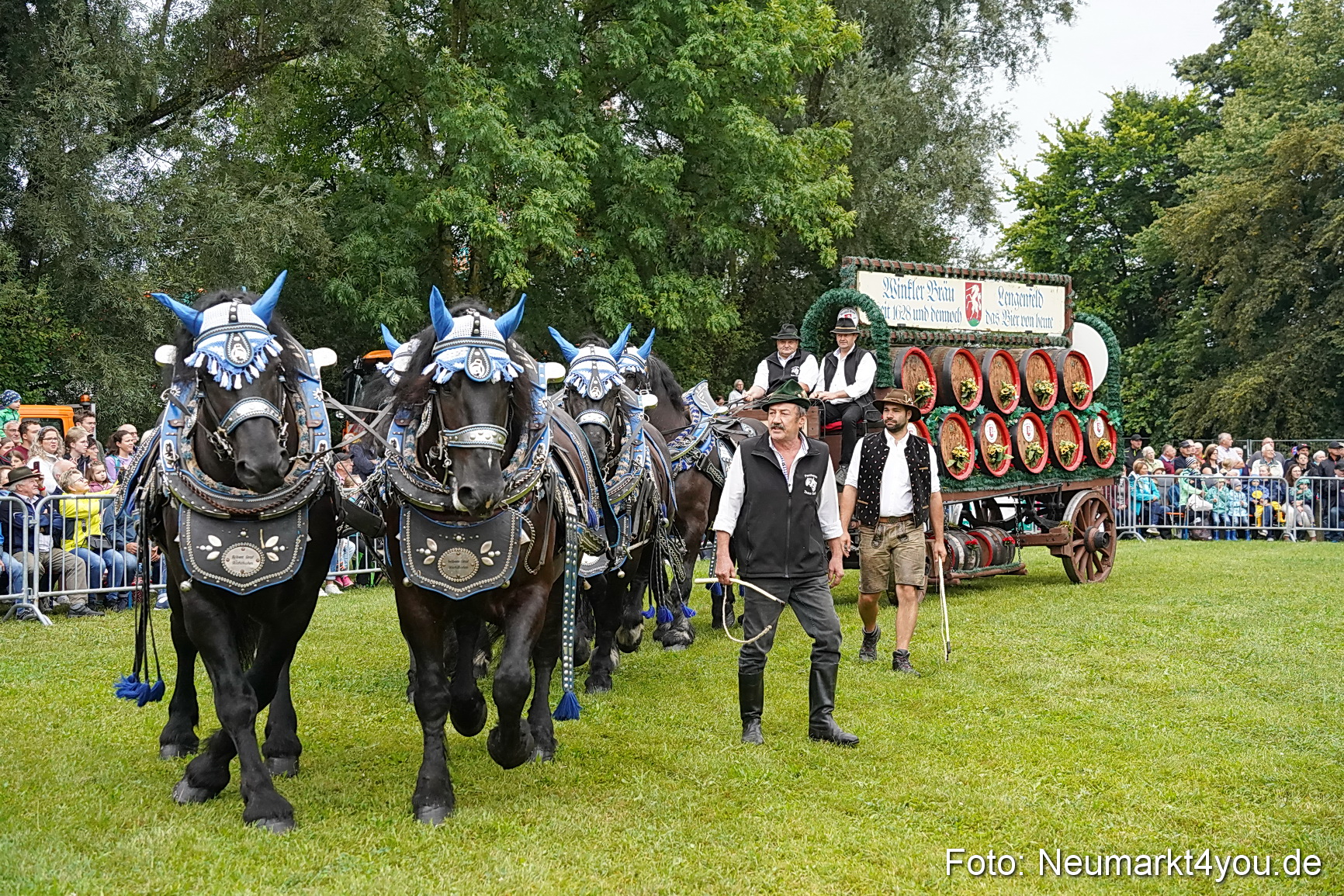 Pferde und Fohlenschau 2024 0031