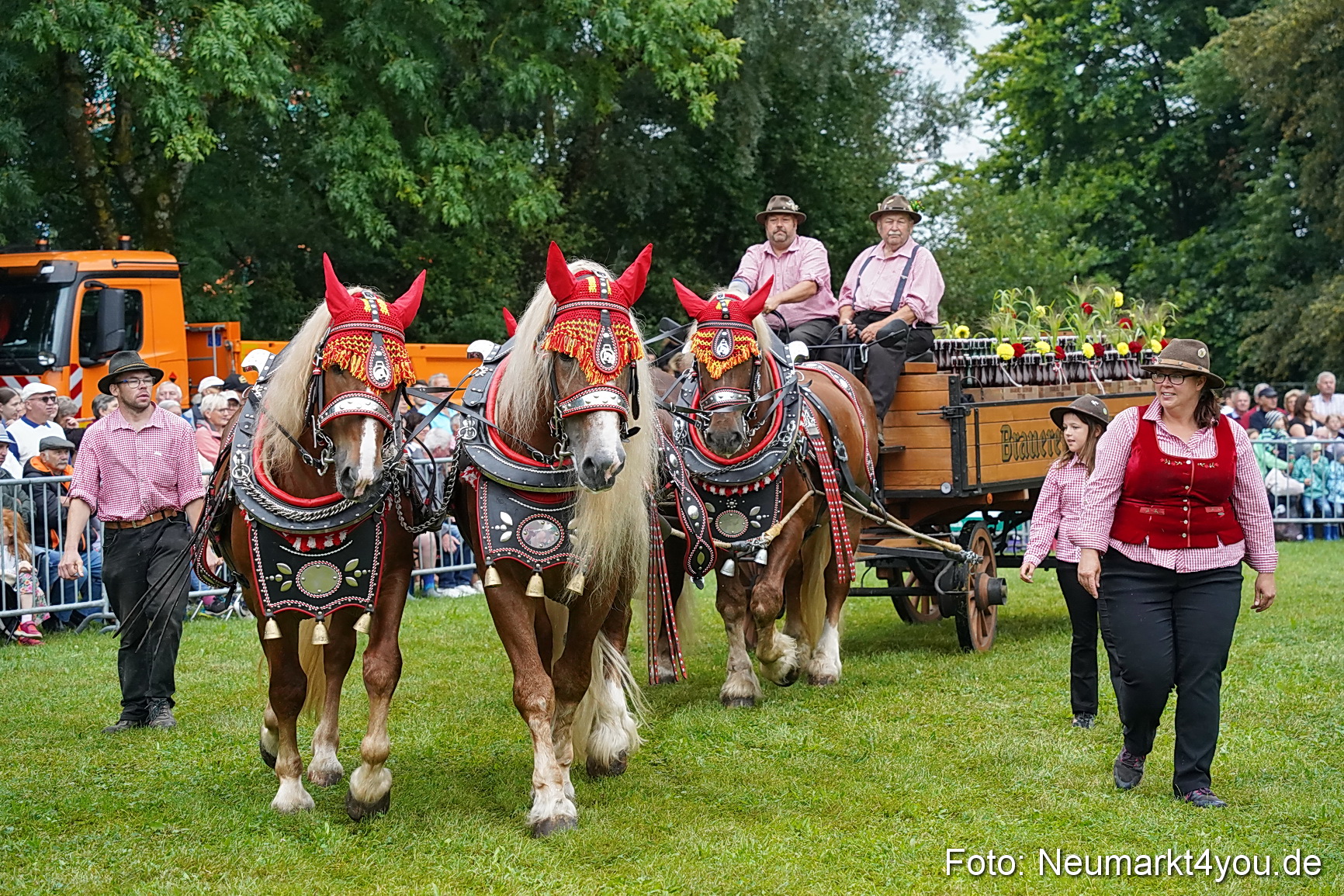 Pferde und Fohlenschau 2024 0033