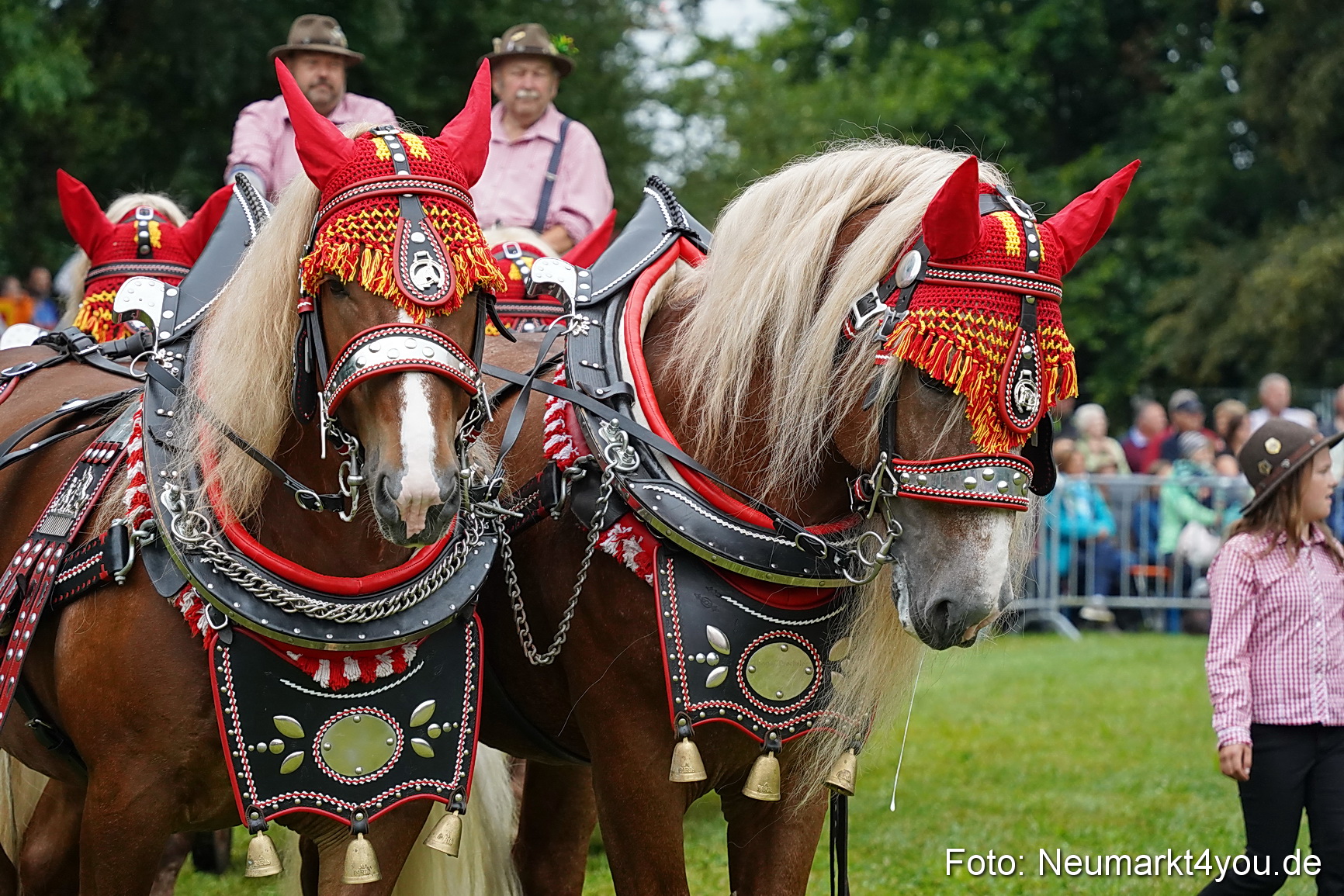 Pferde und Fohlenschau 2024 0034