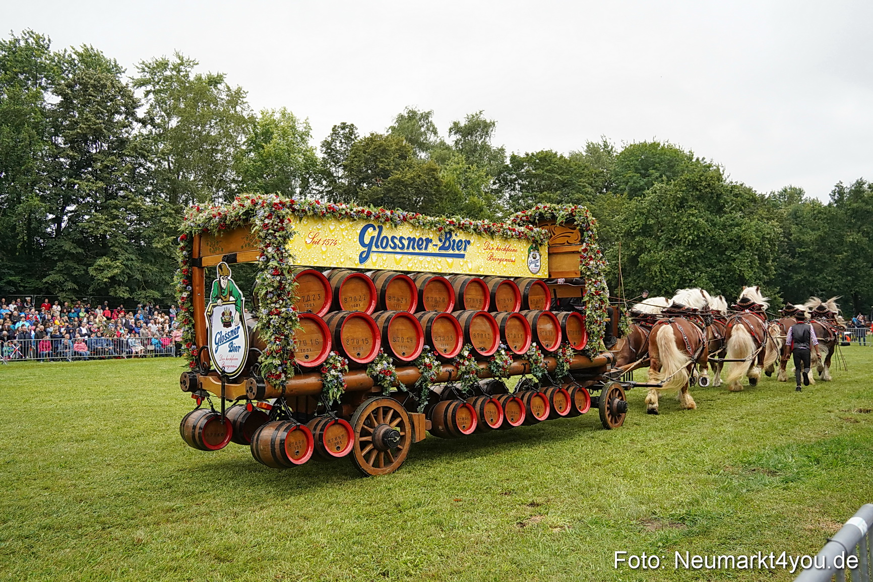 Pferde und Fohlenschau 2024 0039