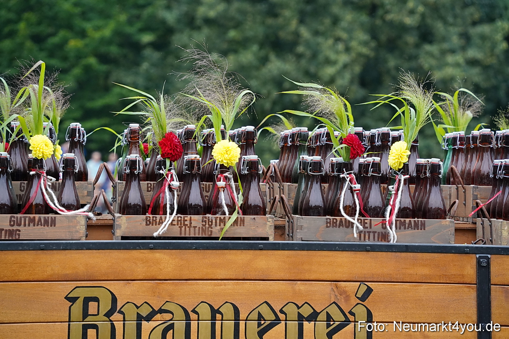 Pferde und Fohlenschau 2024 0040