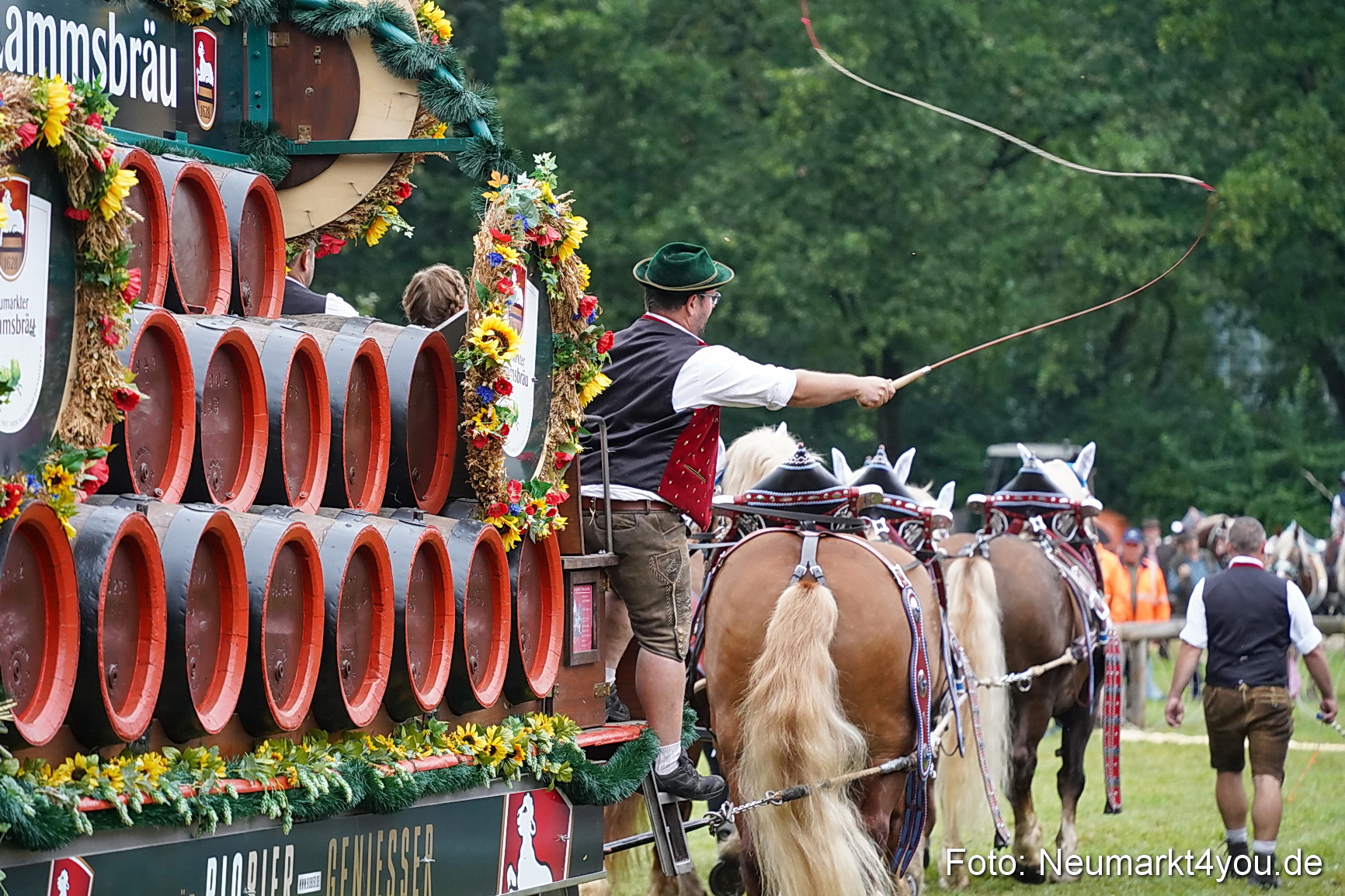 Pferde und Fohlenschau 2024 0043