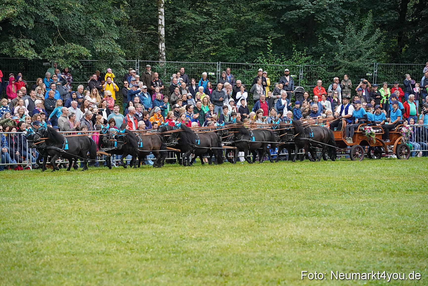 Pferde und Fohlenschau 2024 0044