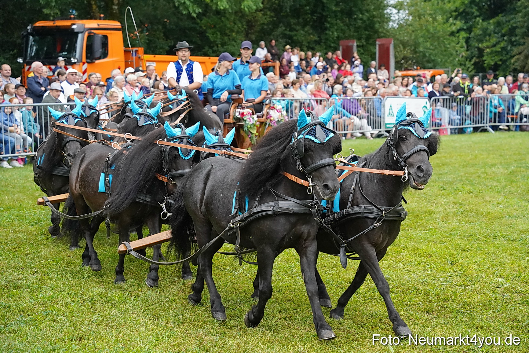Pferde und Fohlenschau 2024 0045