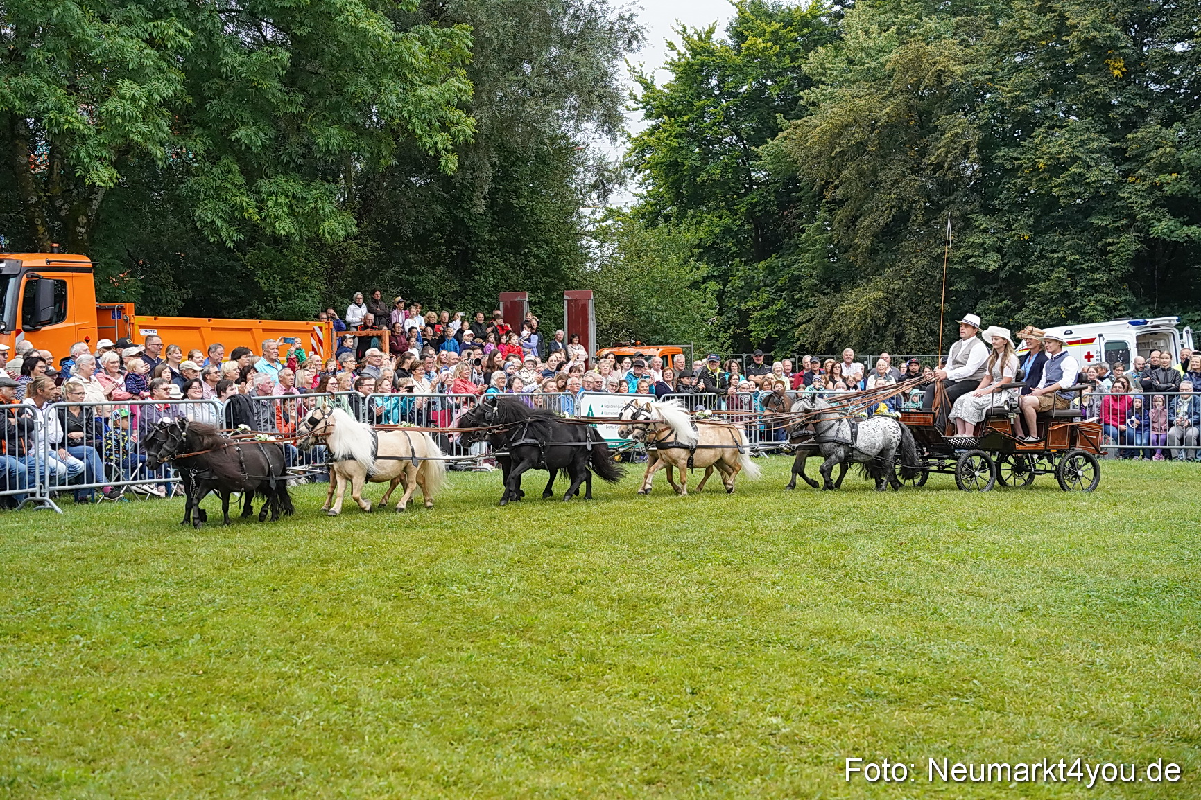 Pferde und Fohlenschau 2024 0047