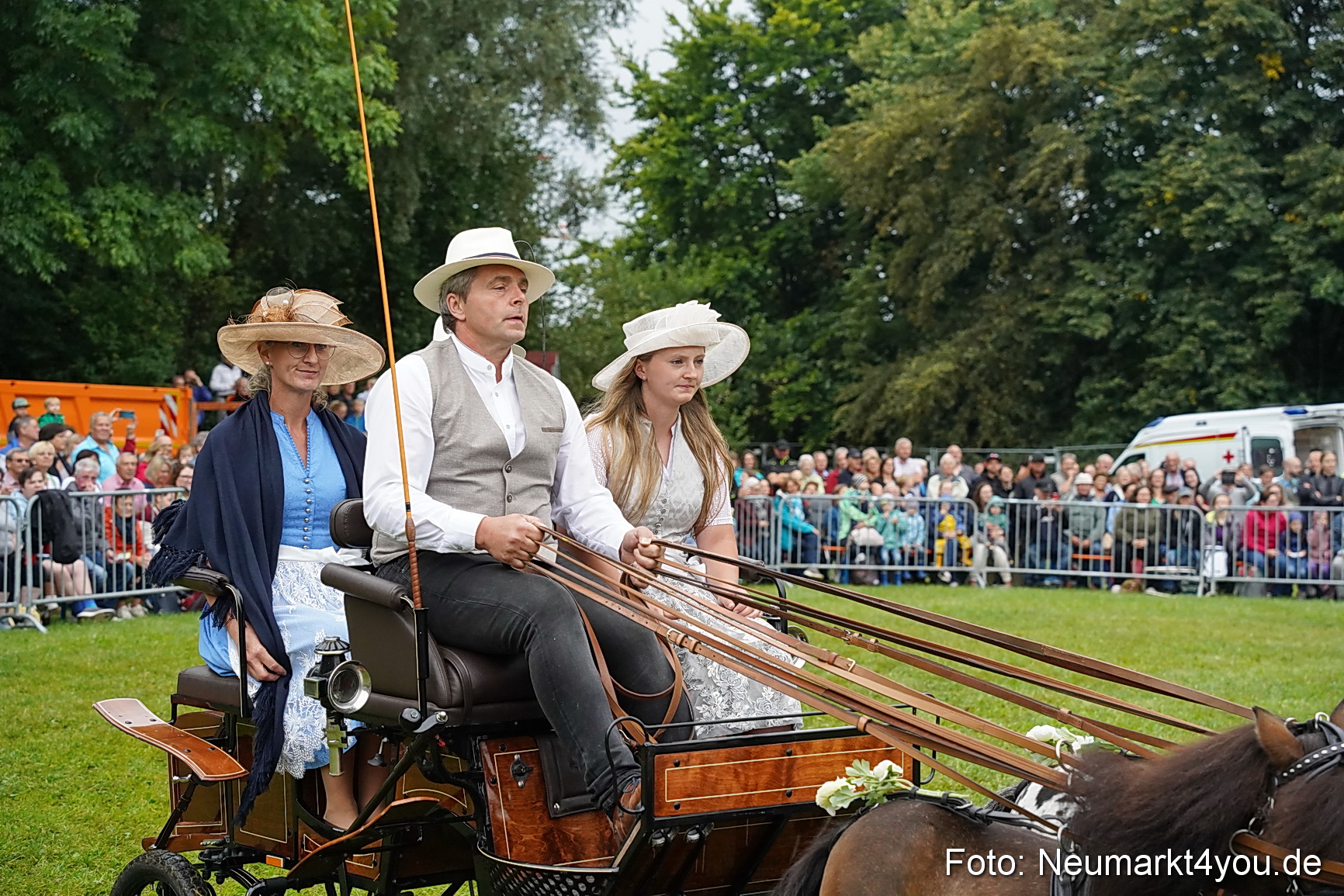 Pferde und Fohlenschau 2024 0049