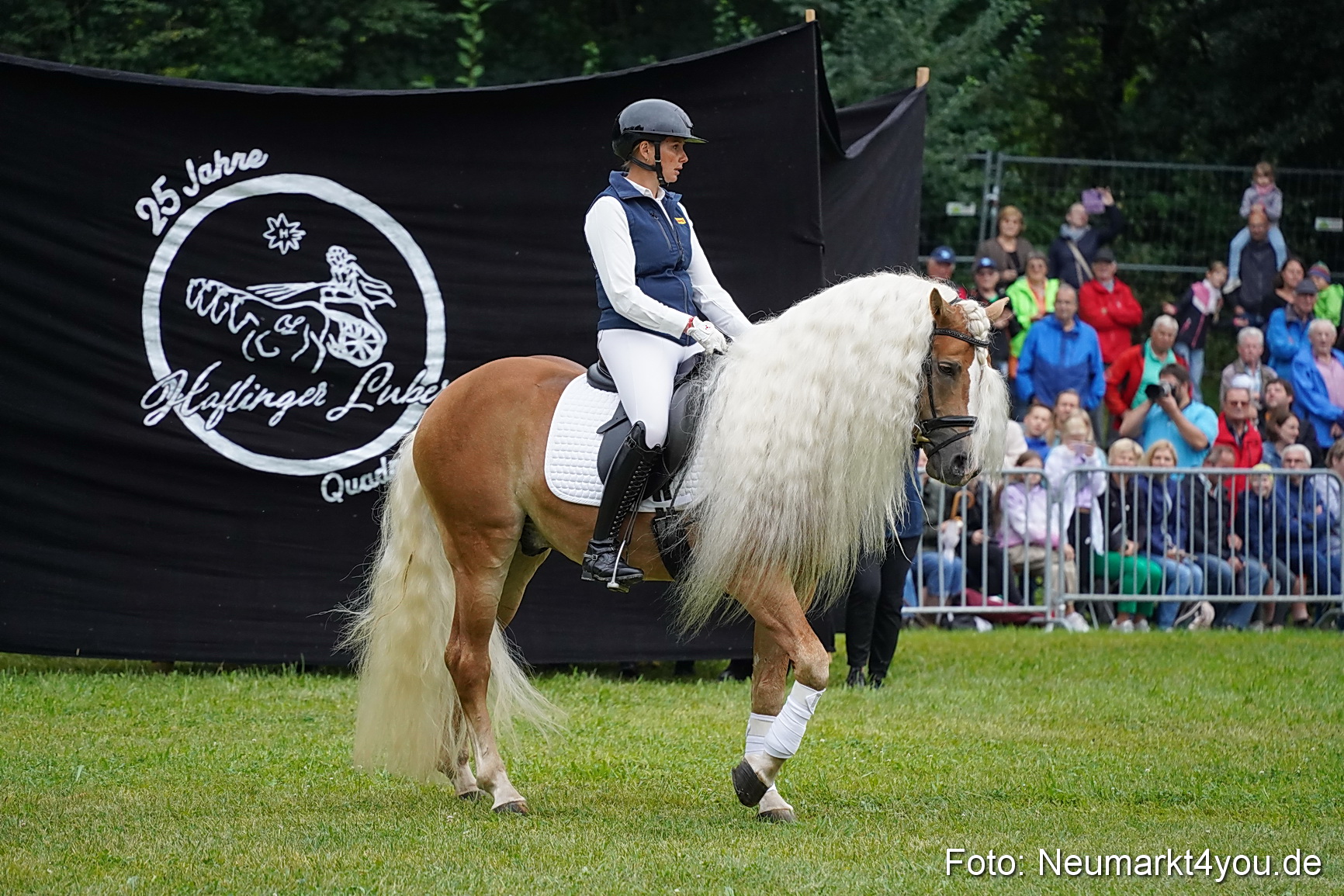 Pferde und Fohlenschau 2024 0059