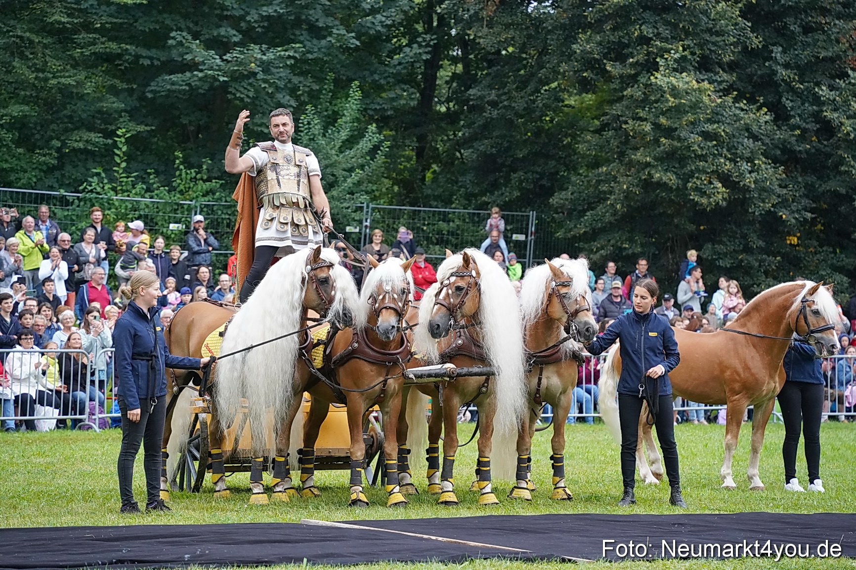 Pferde und Fohlenschau 2024 0060