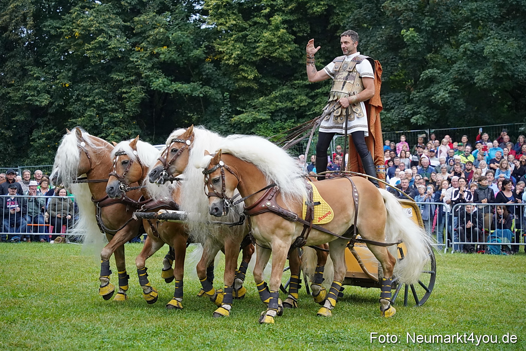 Pferde und Fohlenschau 2024 0061