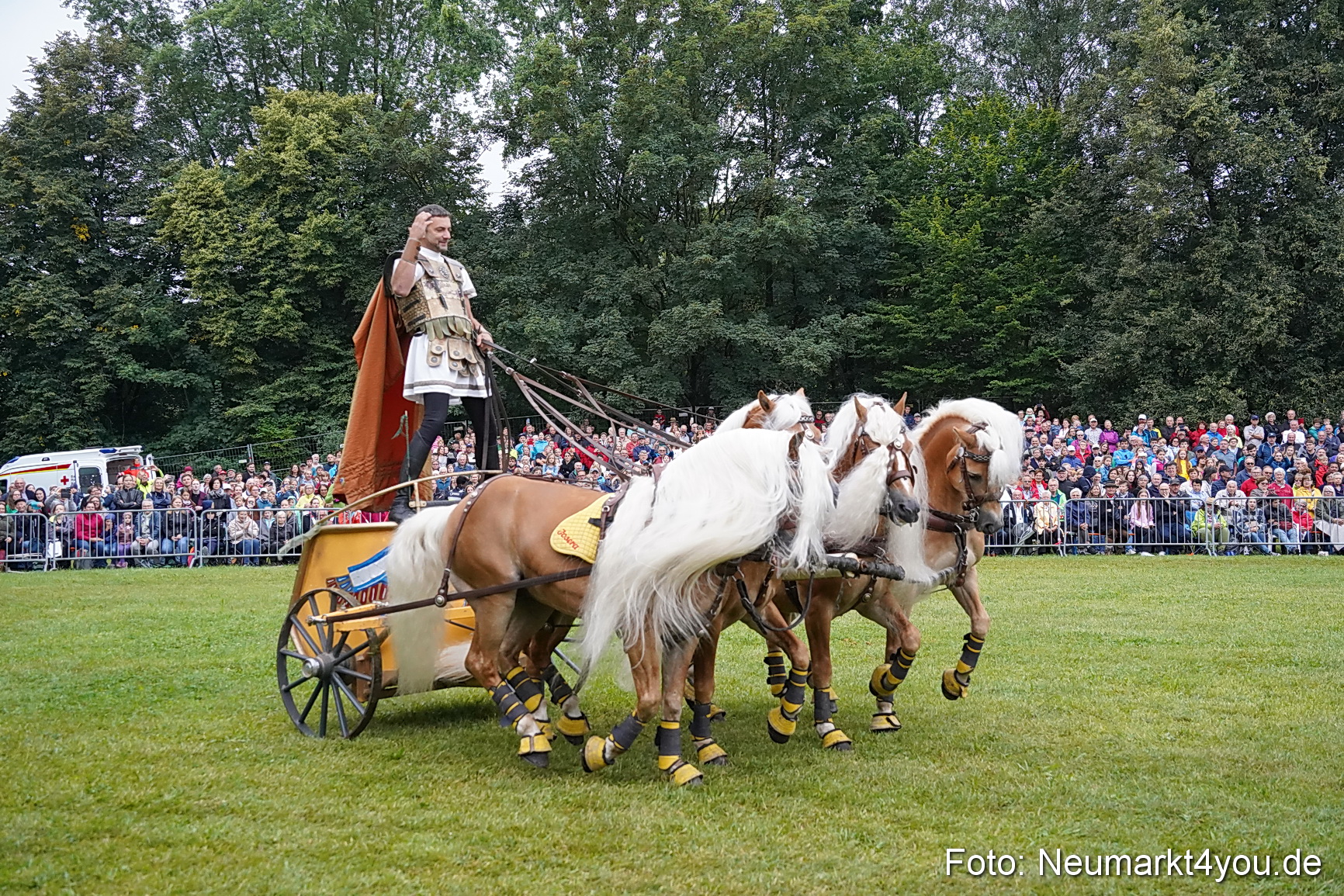 Pferde und Fohlenschau 2024 0062
